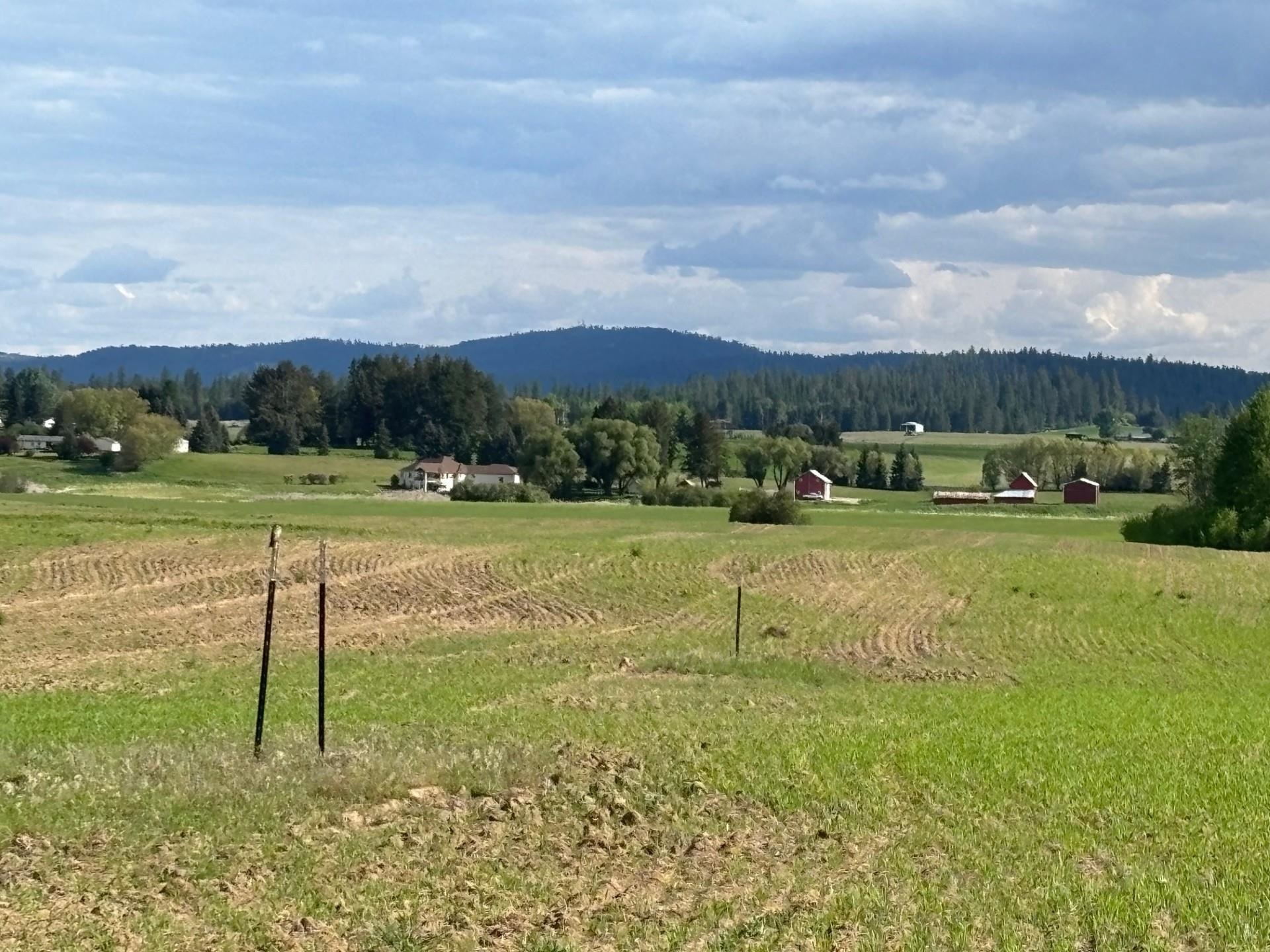 46XX Bittrich-Antler Rd - Photo 15
