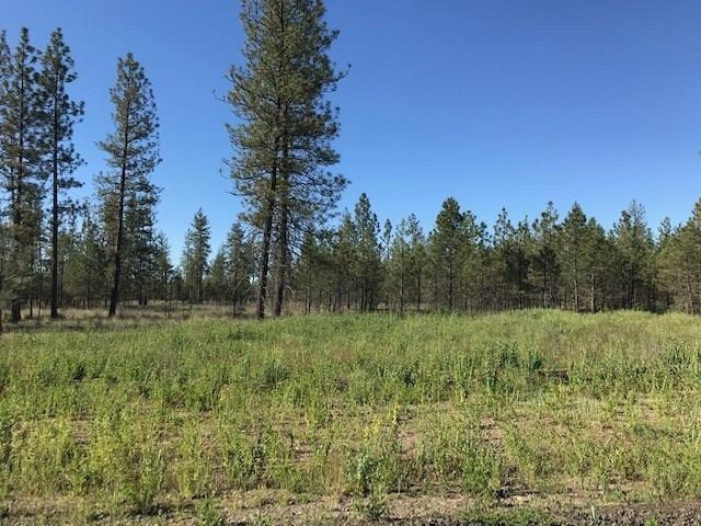 5742 J Corkscrew Canyon Rd - Photo 1