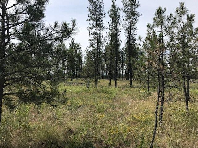 5742 J Corkscrew Canyon Rd - Photo 5