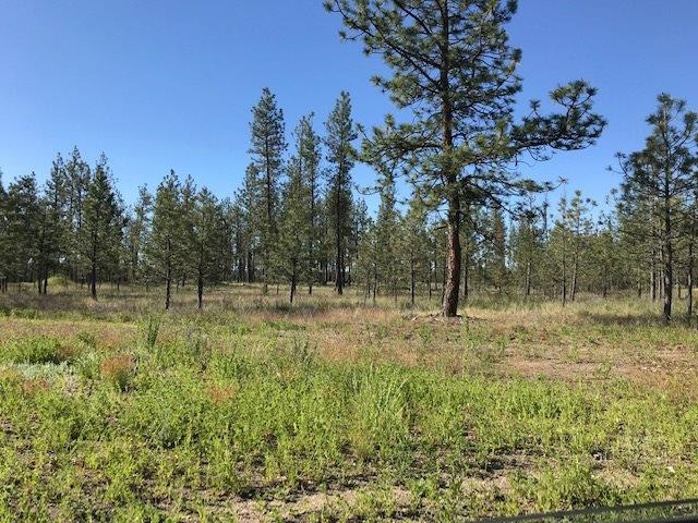 5742 J Corkscrew Canyon Rd - Photo 7
