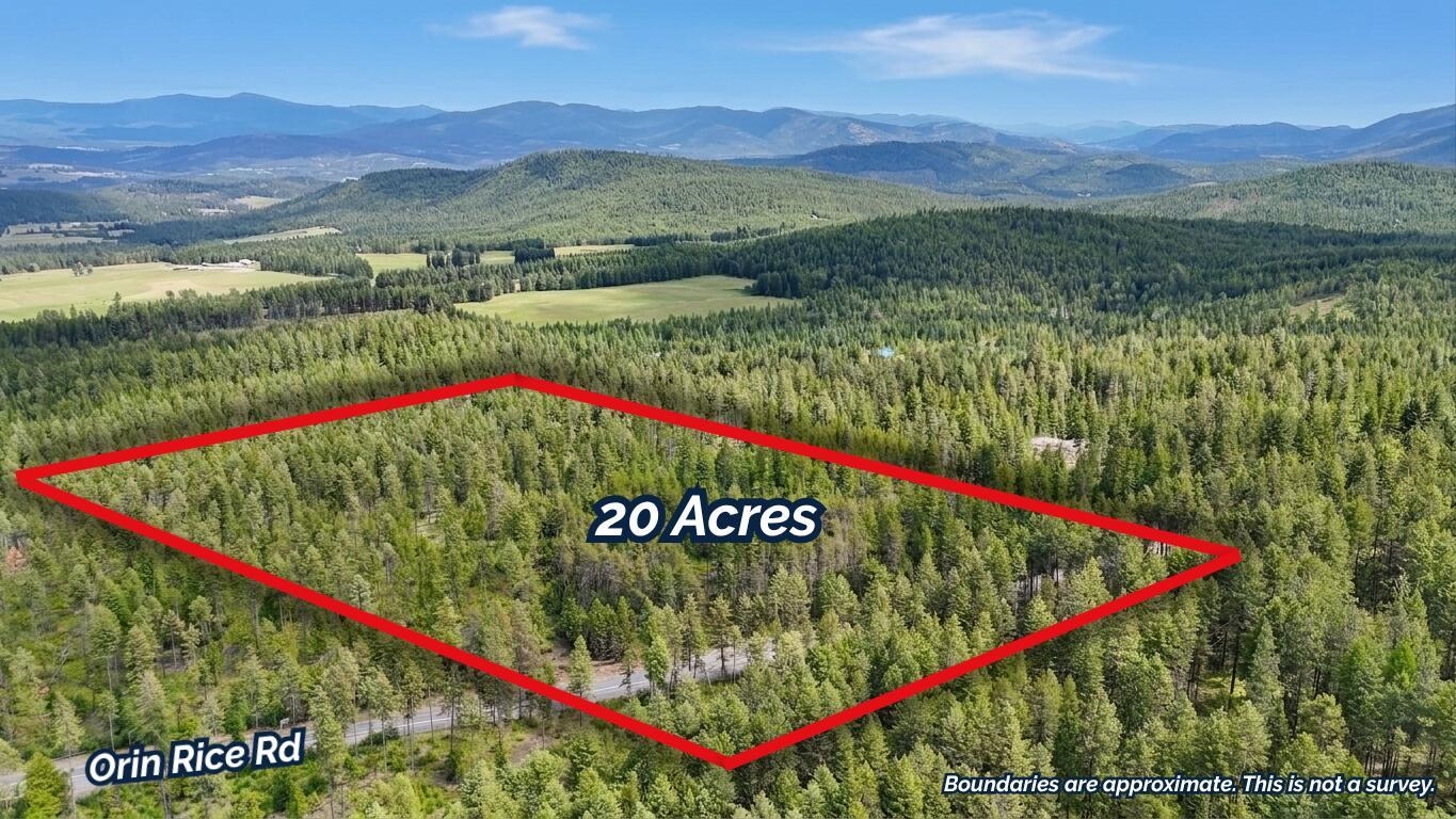 11xx Orin Rice Rd - Photo 3