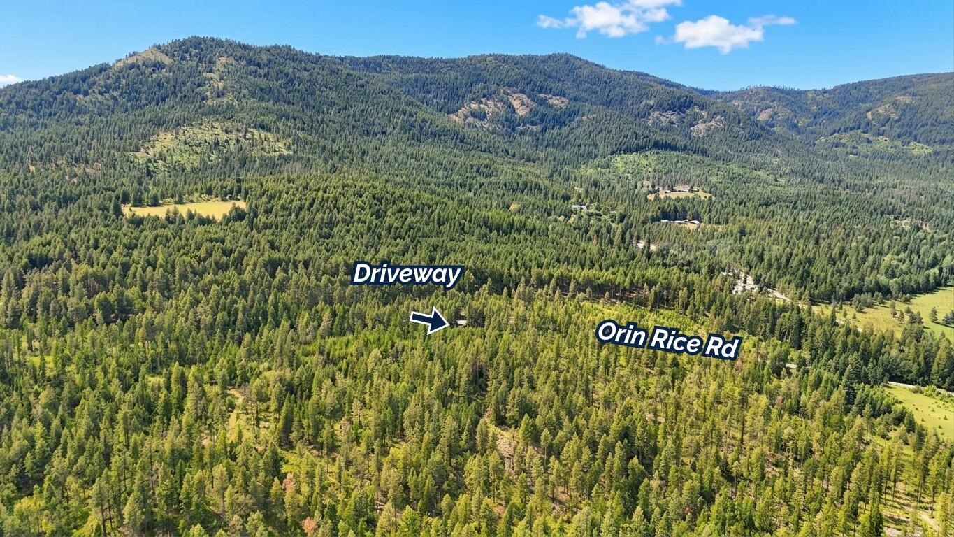 11xx Orin Rice Rd - Photo 5