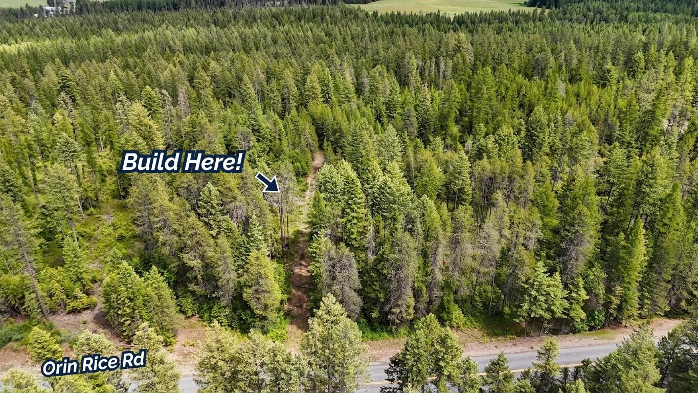 11xx Orin Rice Rd - Photo 9