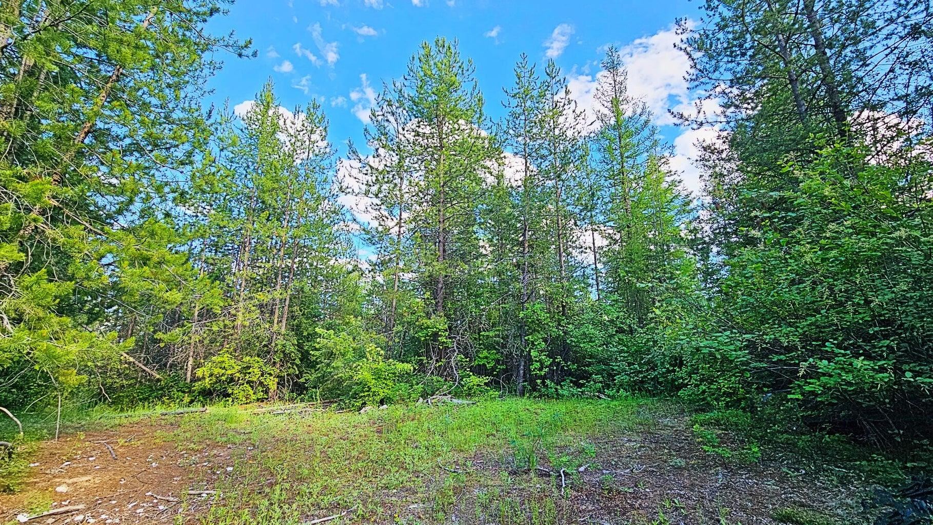 11xx Orin Rice Rd - Photo 10
