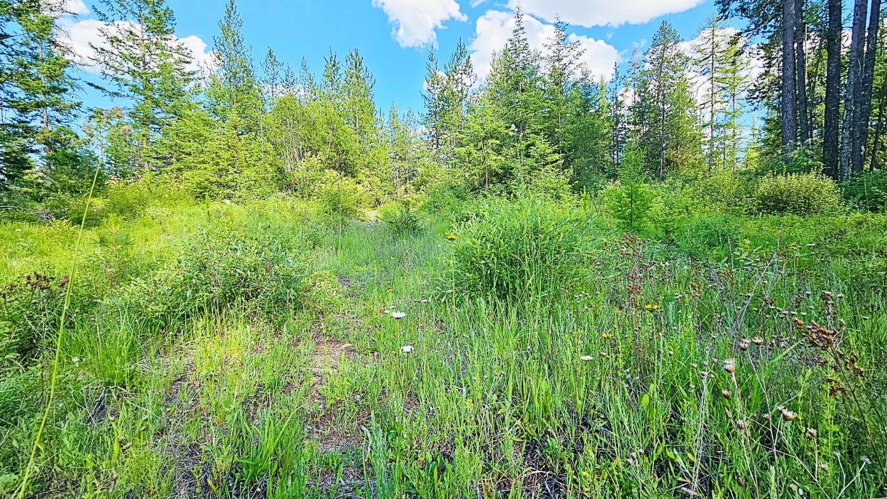 11xx Orin Rice Rd - Photo 12