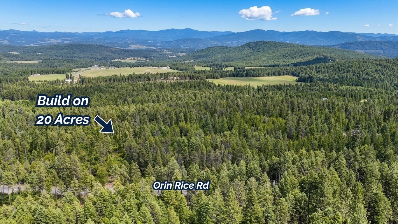 11xx Orin Rice Rd - Photo 14