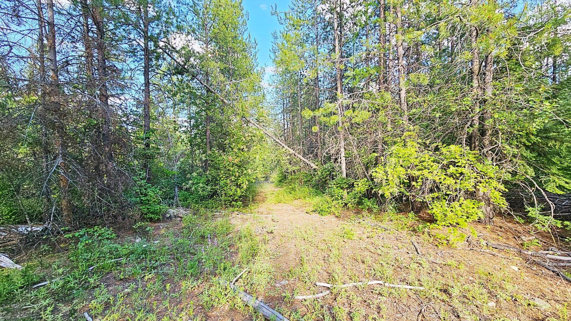 11xx Orin Rice Rd - Photo 15