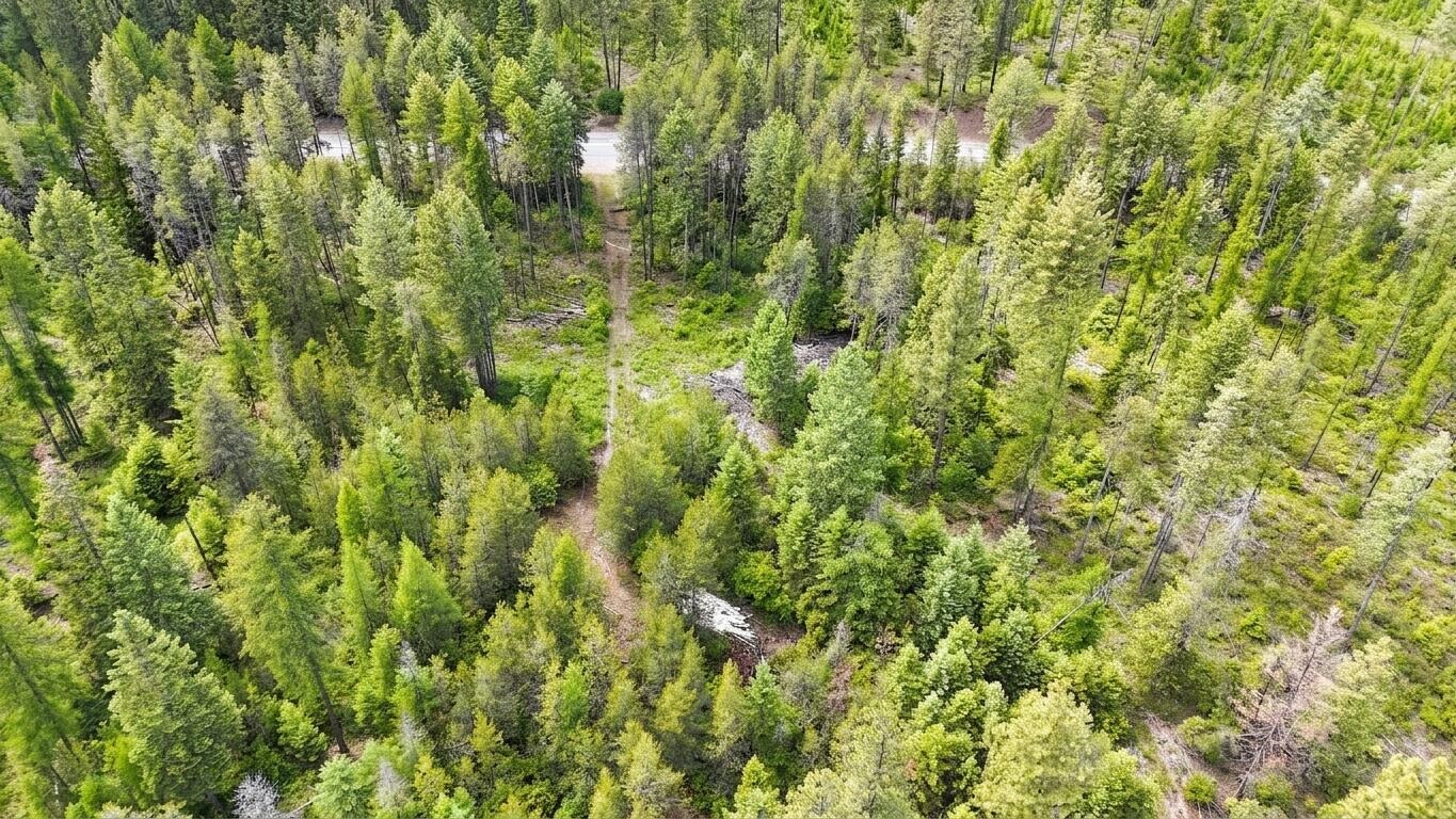 11xx Orin Rice Rd - Photo 18