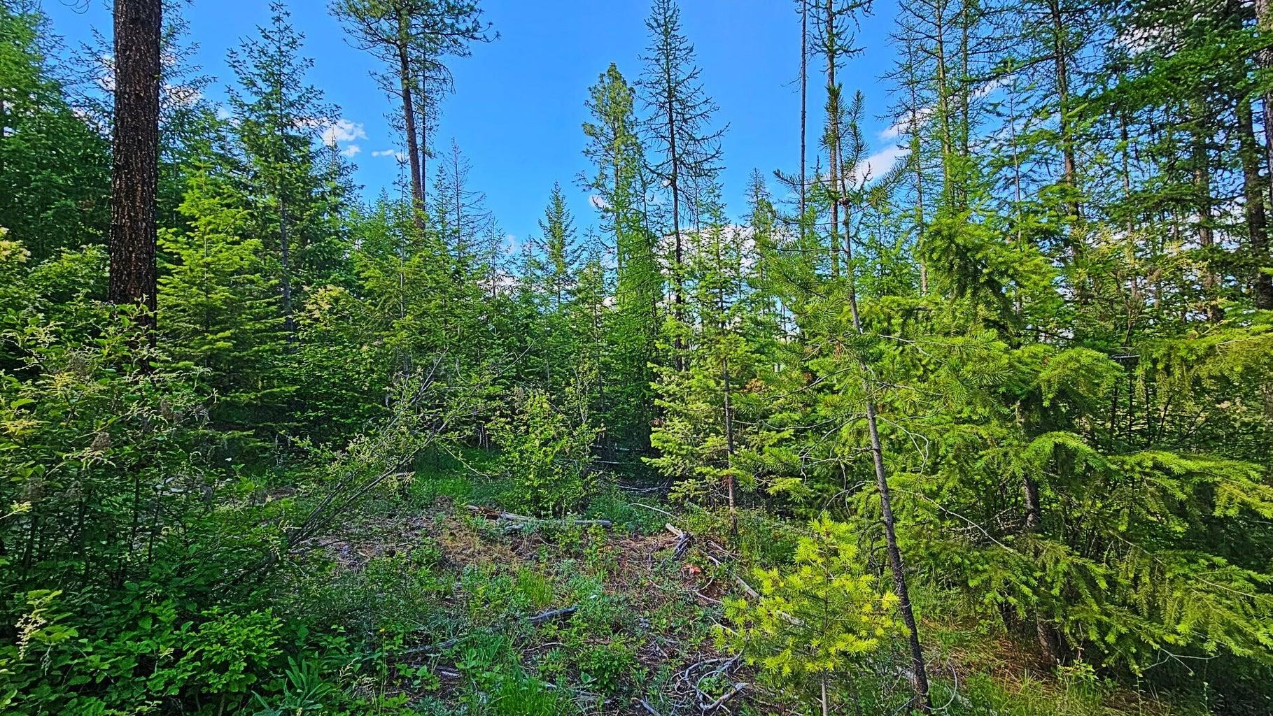 11xx Orin Rice Rd - Photo 20
