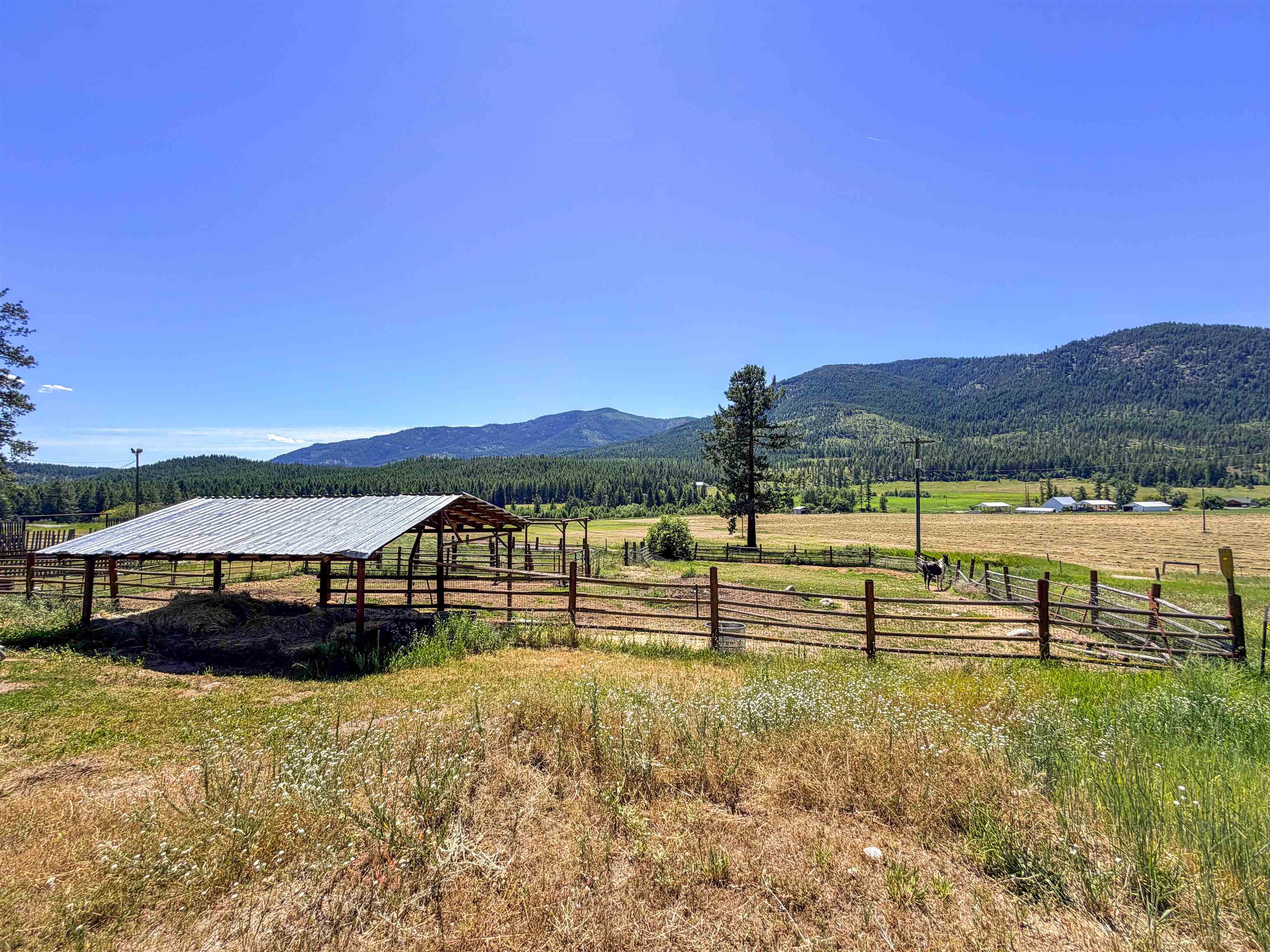 2098 Marble Valley Basin Rd - Photo 3
