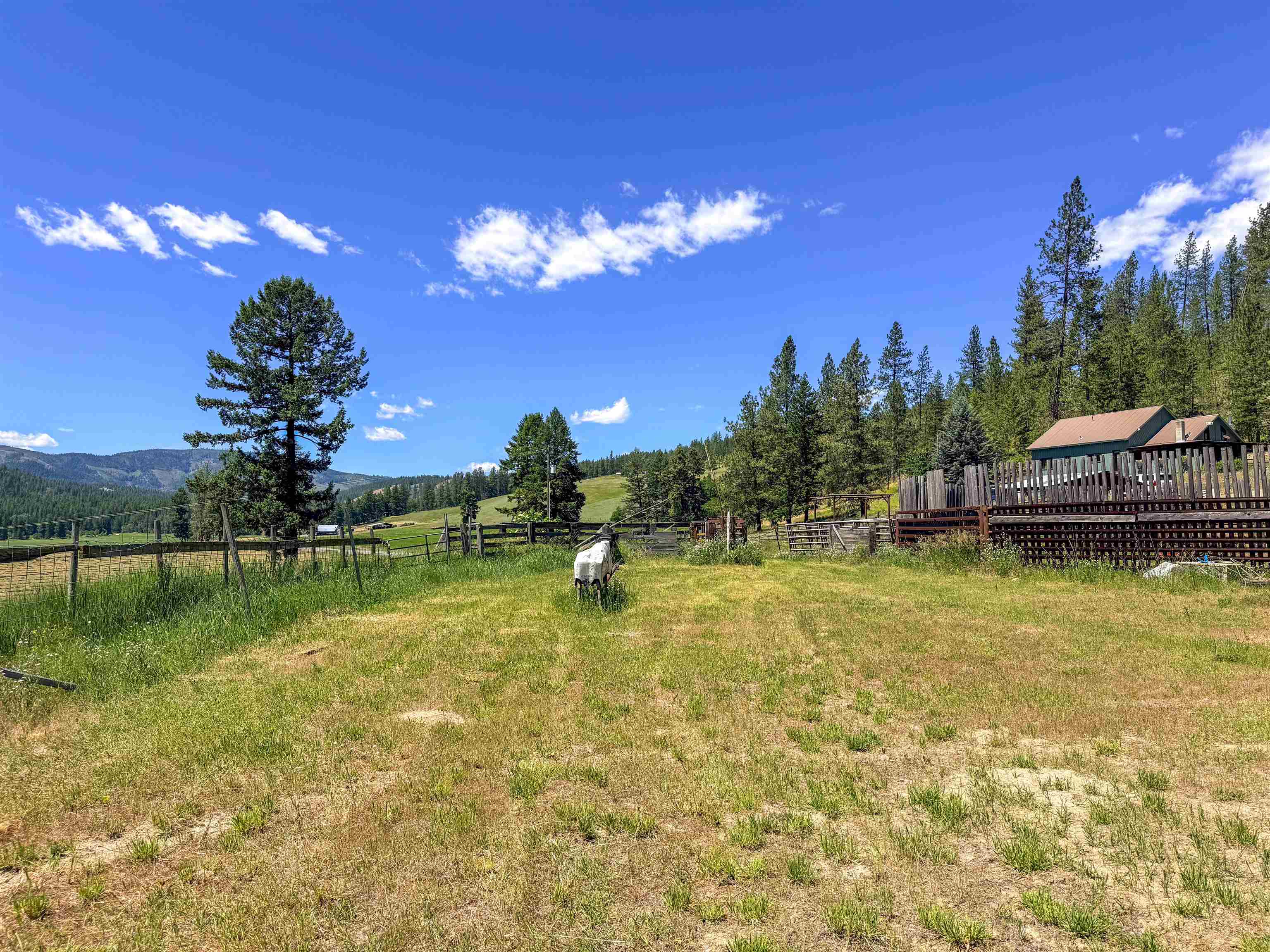 2098 Marble Valley Basin Rd - Photo 47