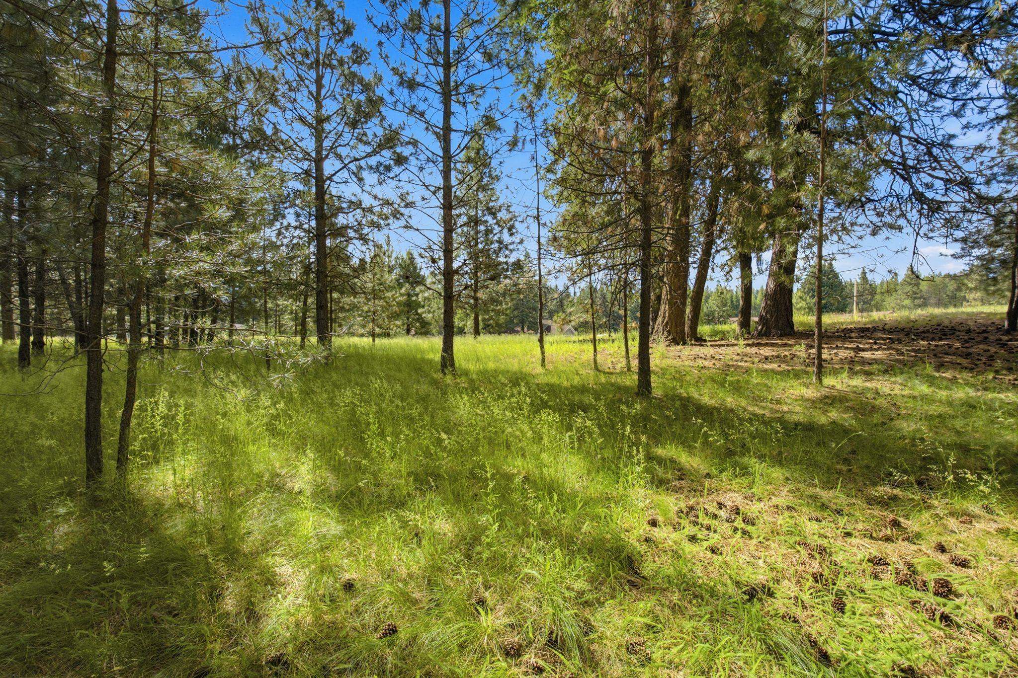 435 Jade Dr - Photo 13