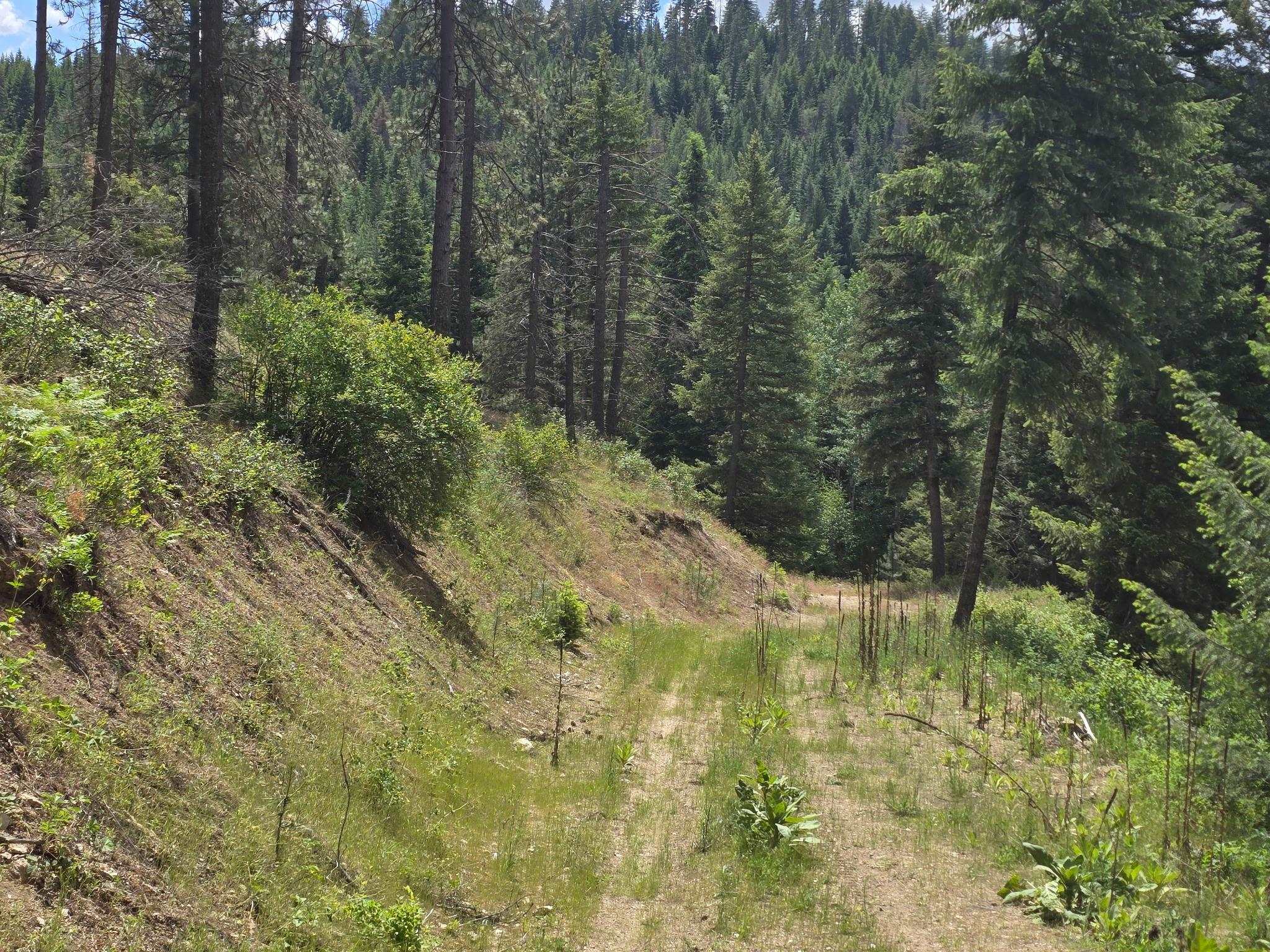 20300 E Mountain View Rd - Photo 3