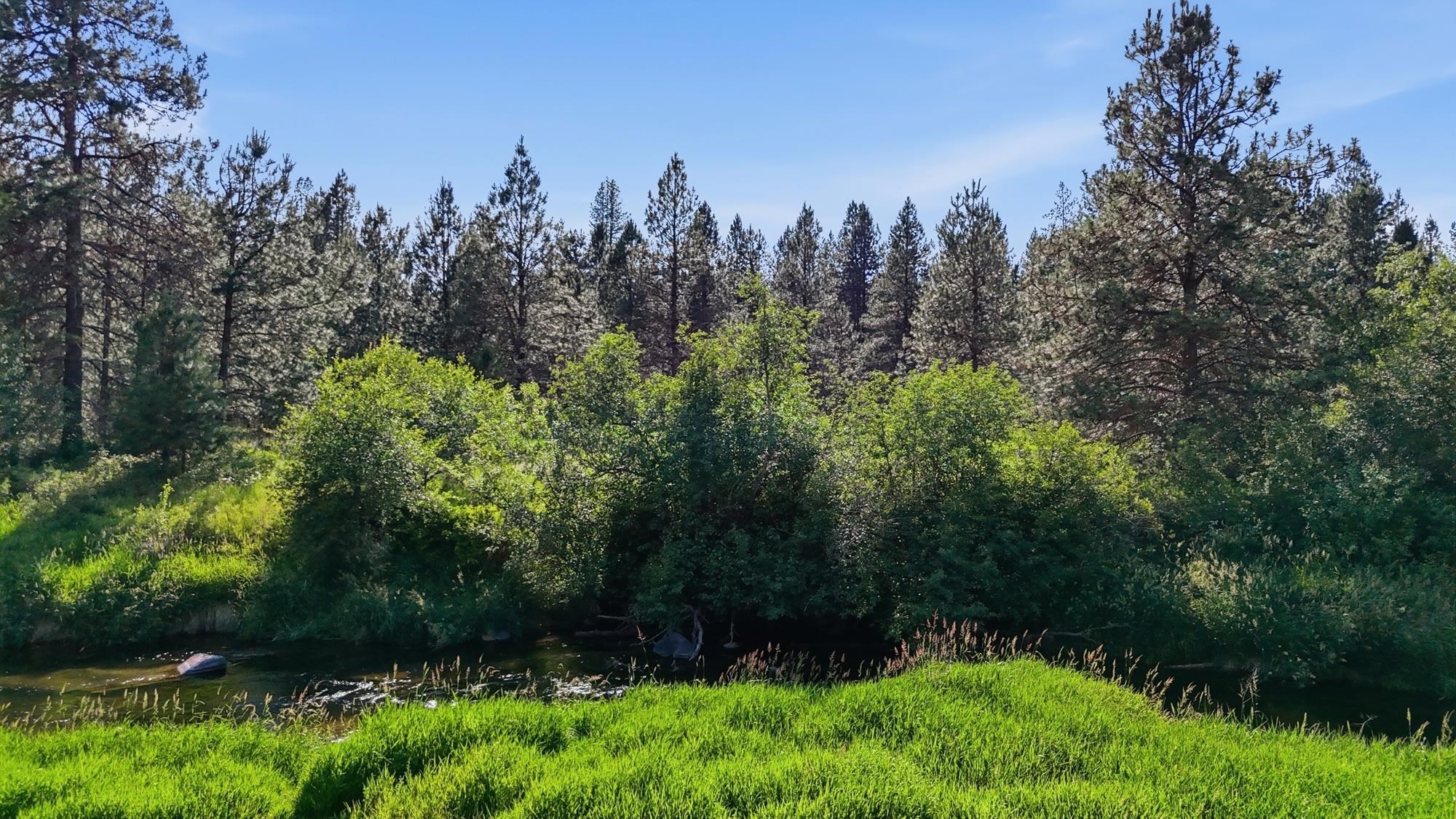28608 N River Estates Dr - Photo 46