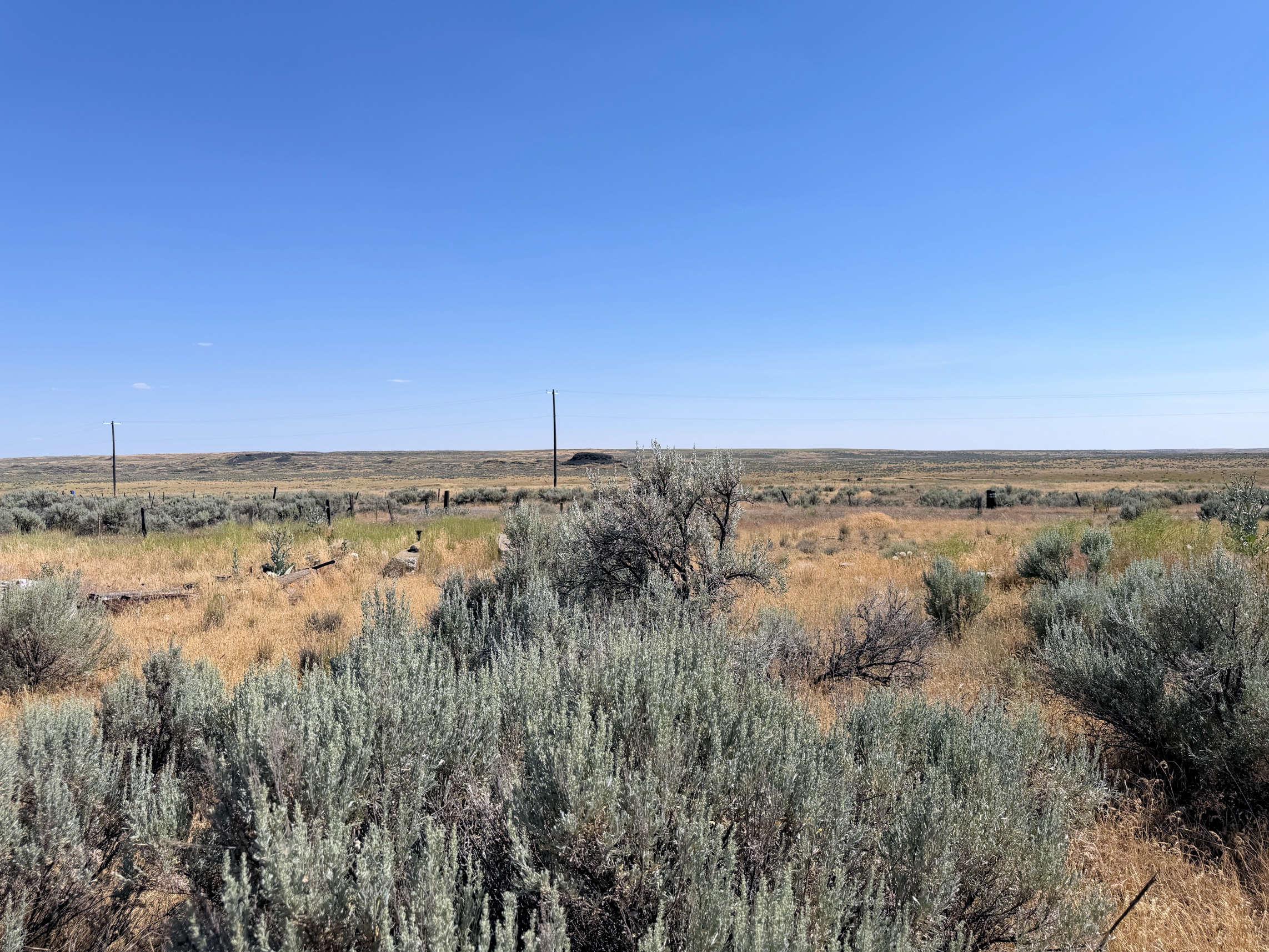 32498 N Crick Rd - Photo 35
