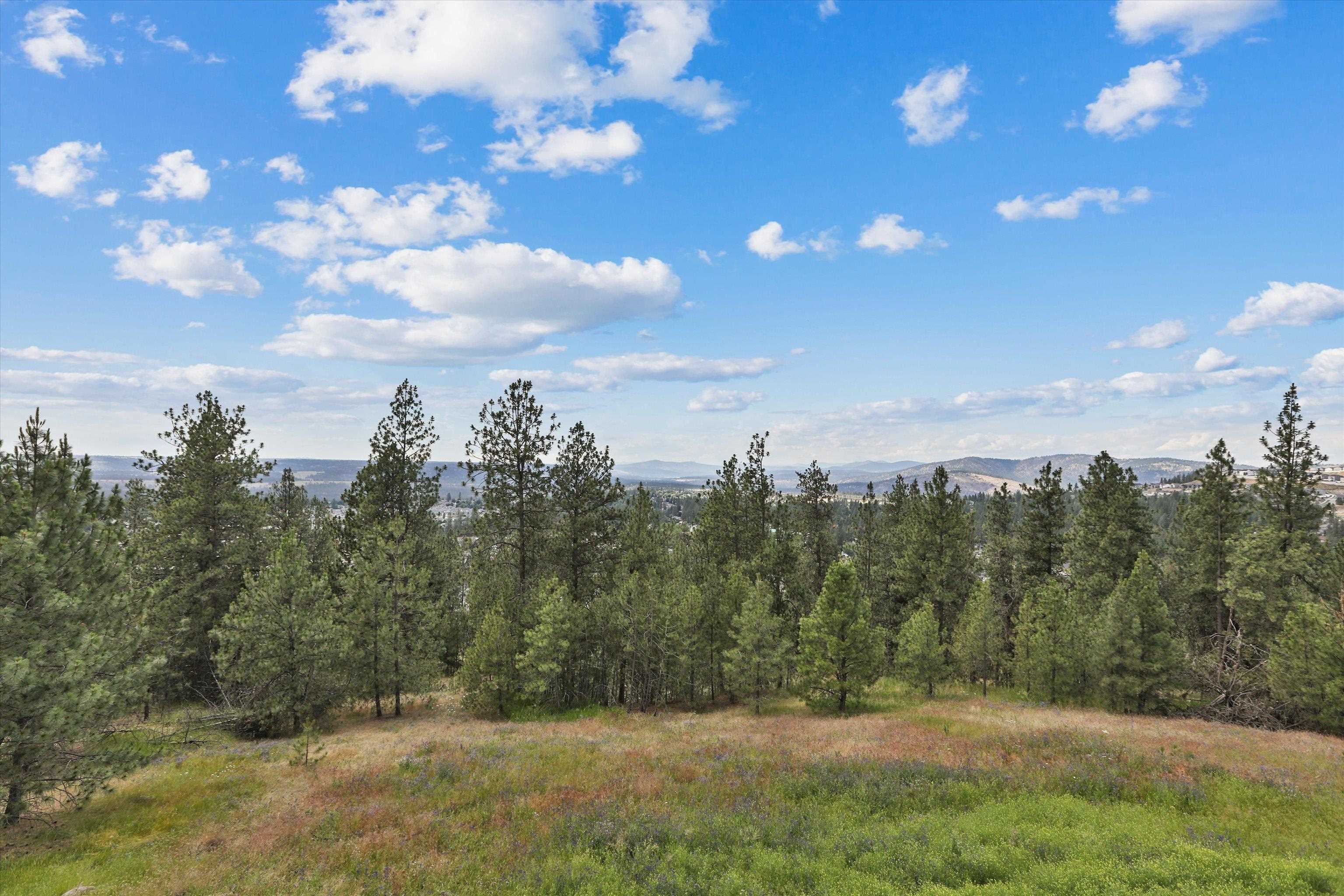 8905 N Rustle Rd - Photo 17