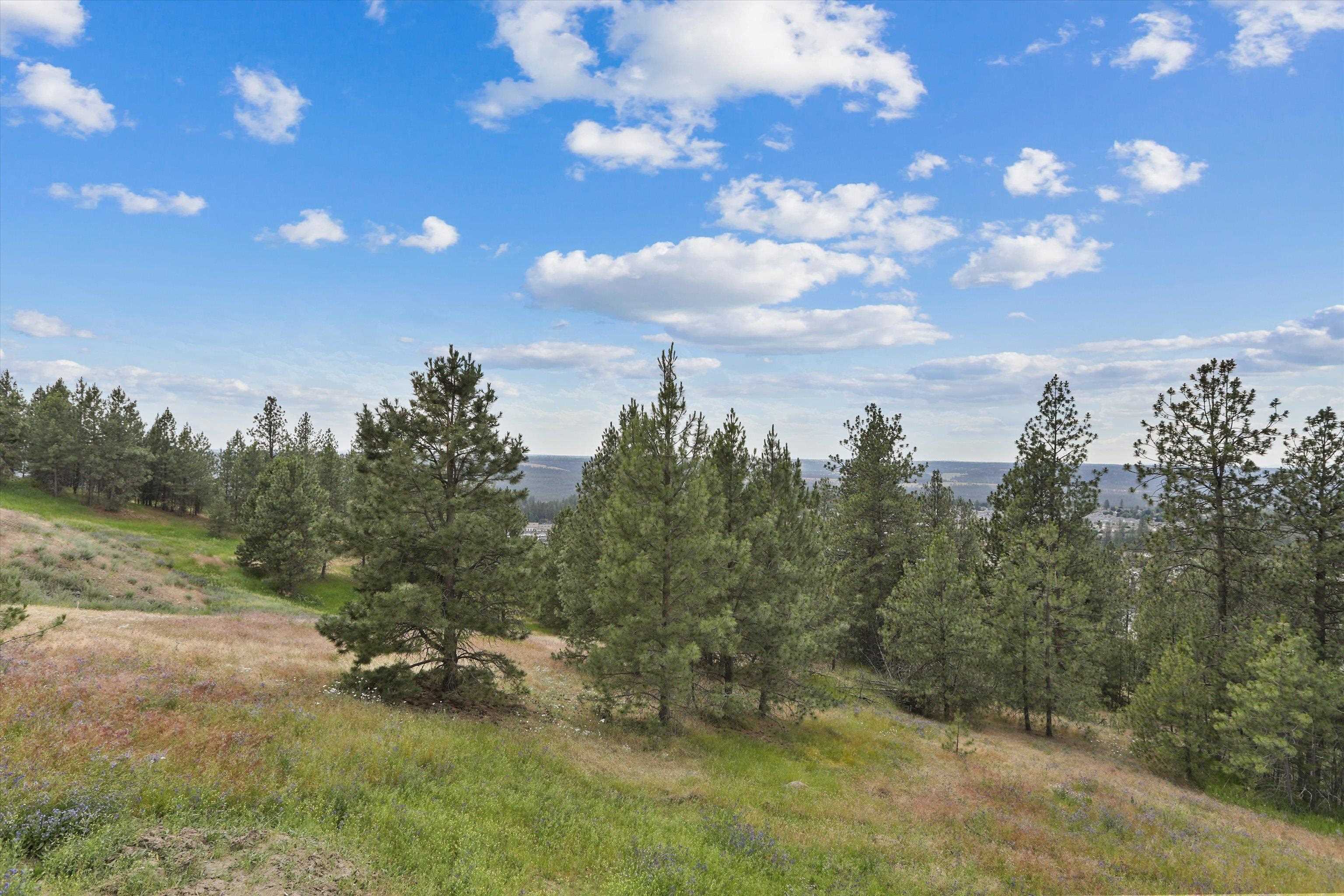 8905 N Rustle Rd - Photo 20