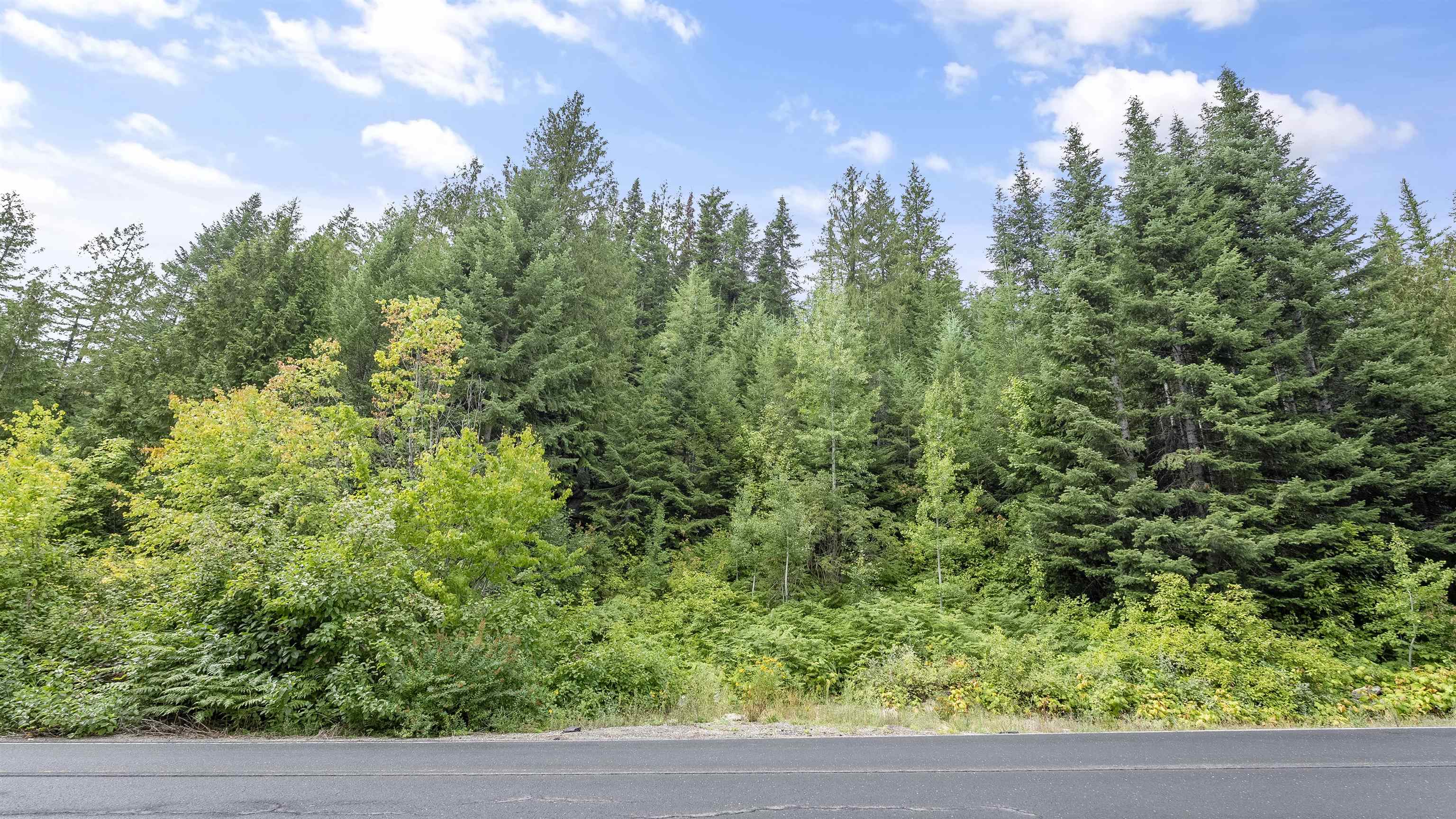 234XX N Mt Spokane Park Dr - Photo 1