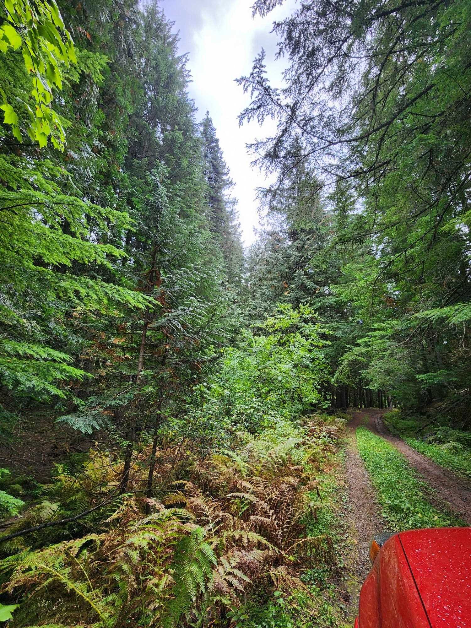 234XX N Mt Spokane Park Dr - Photo 3