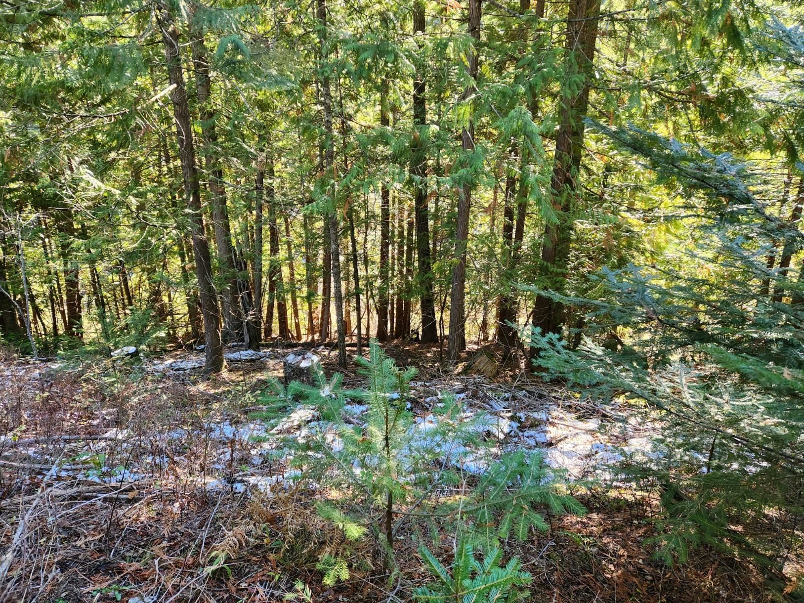 234XX N Mt Spokane Park Dr - Photo 16