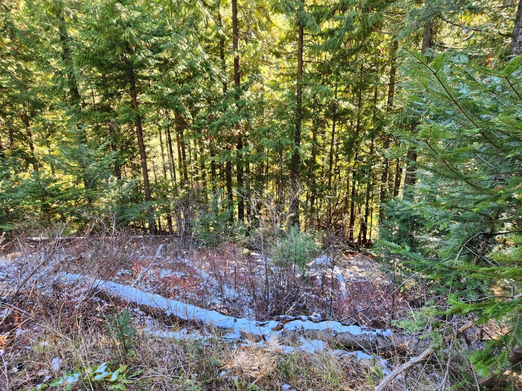 234XX N Mt Spokane Park Dr - Photo 17