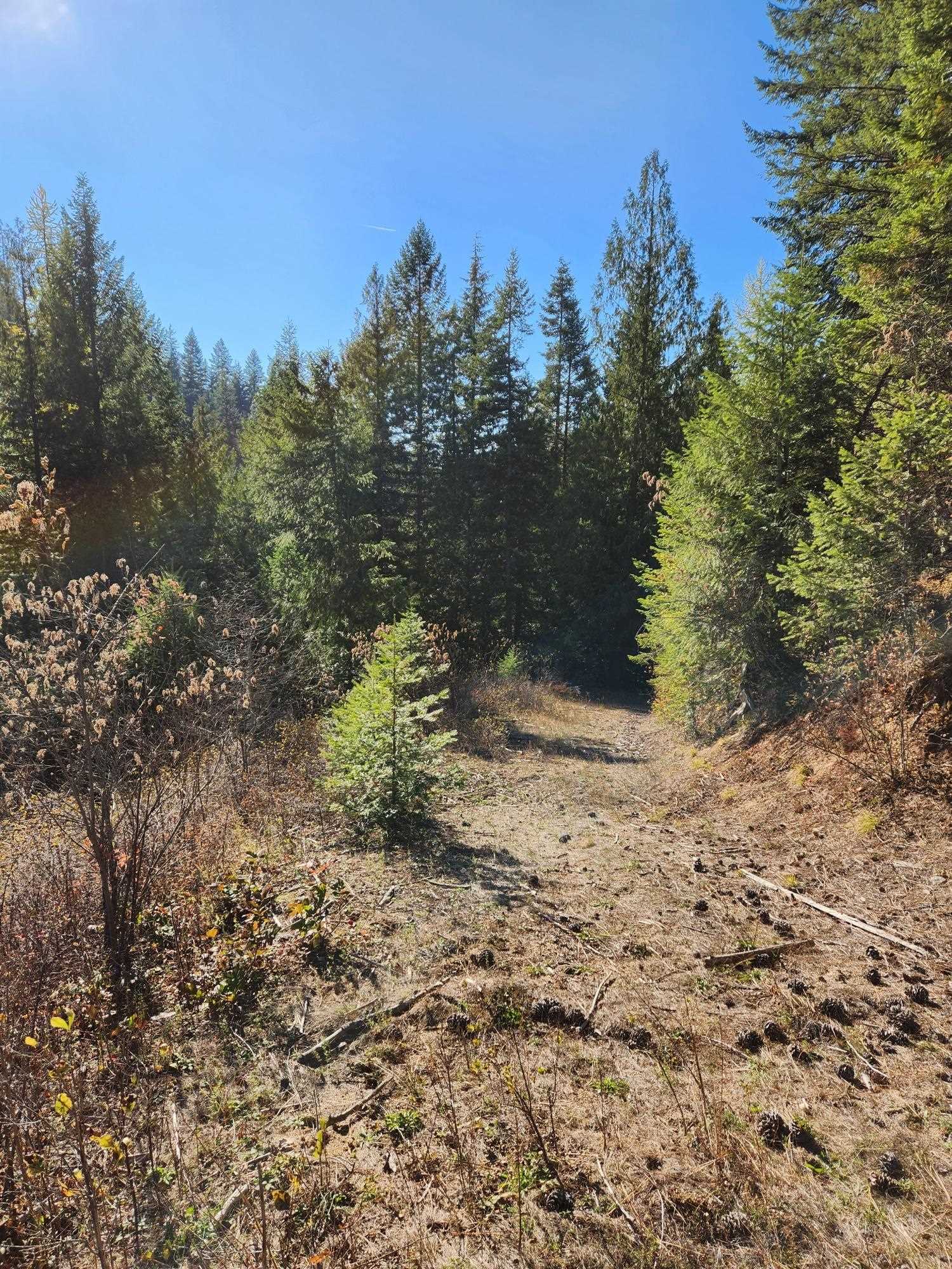 234XX N Mt Spokane Park Dr - Photo 18