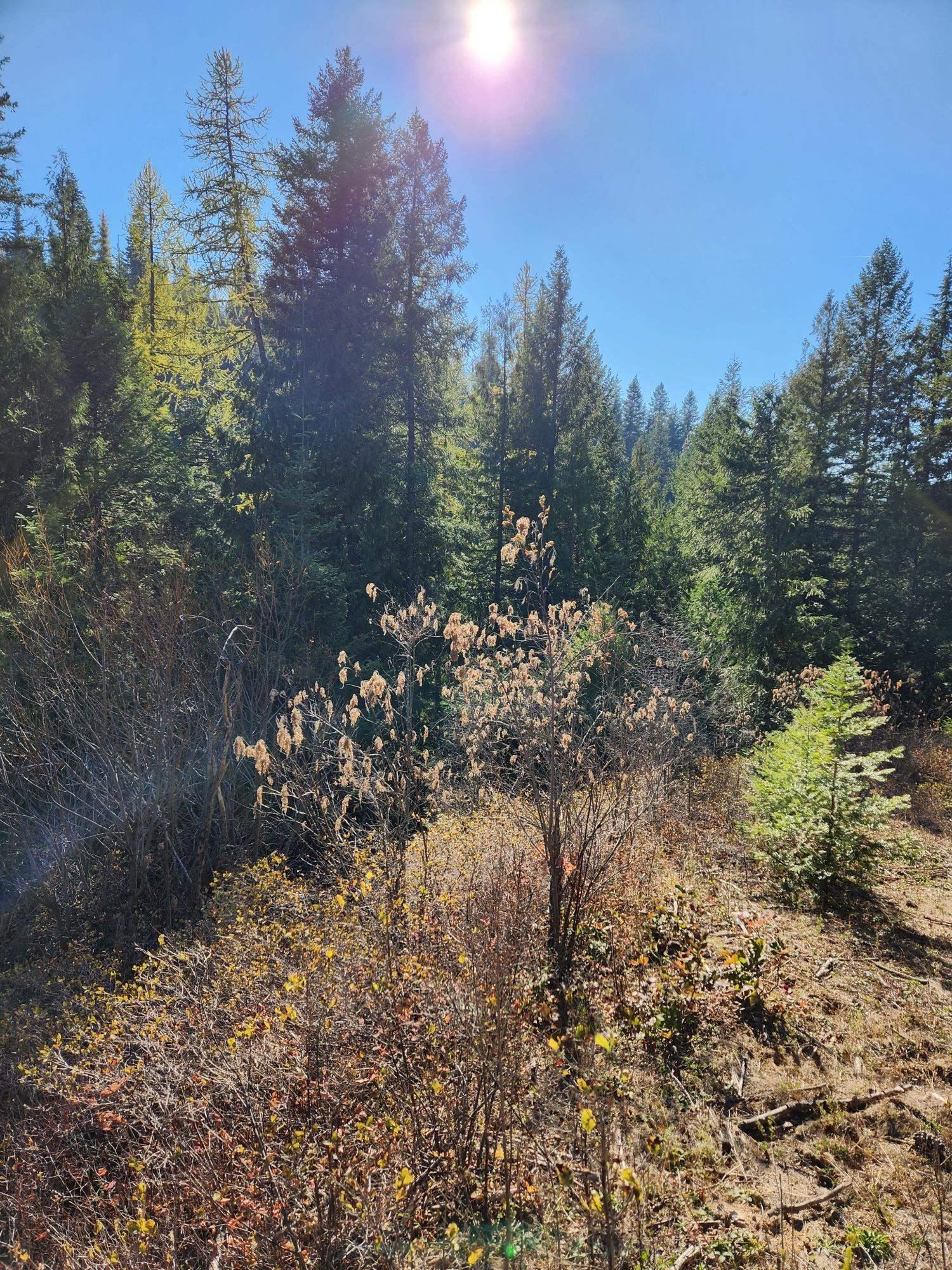 234XX N Mt Spokane Park Dr - Photo 19