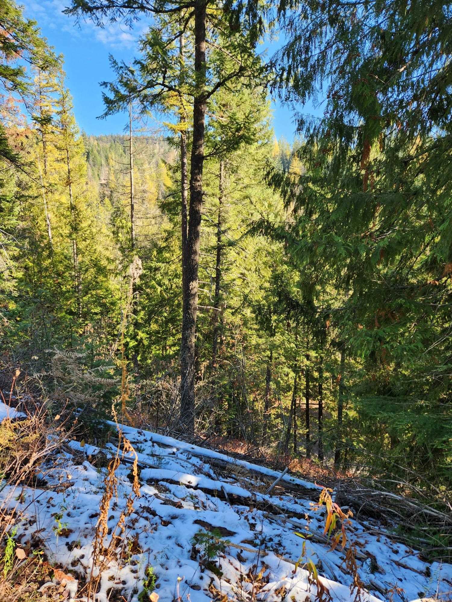 234XX N Mt Spokane Park Dr - Photo 21
