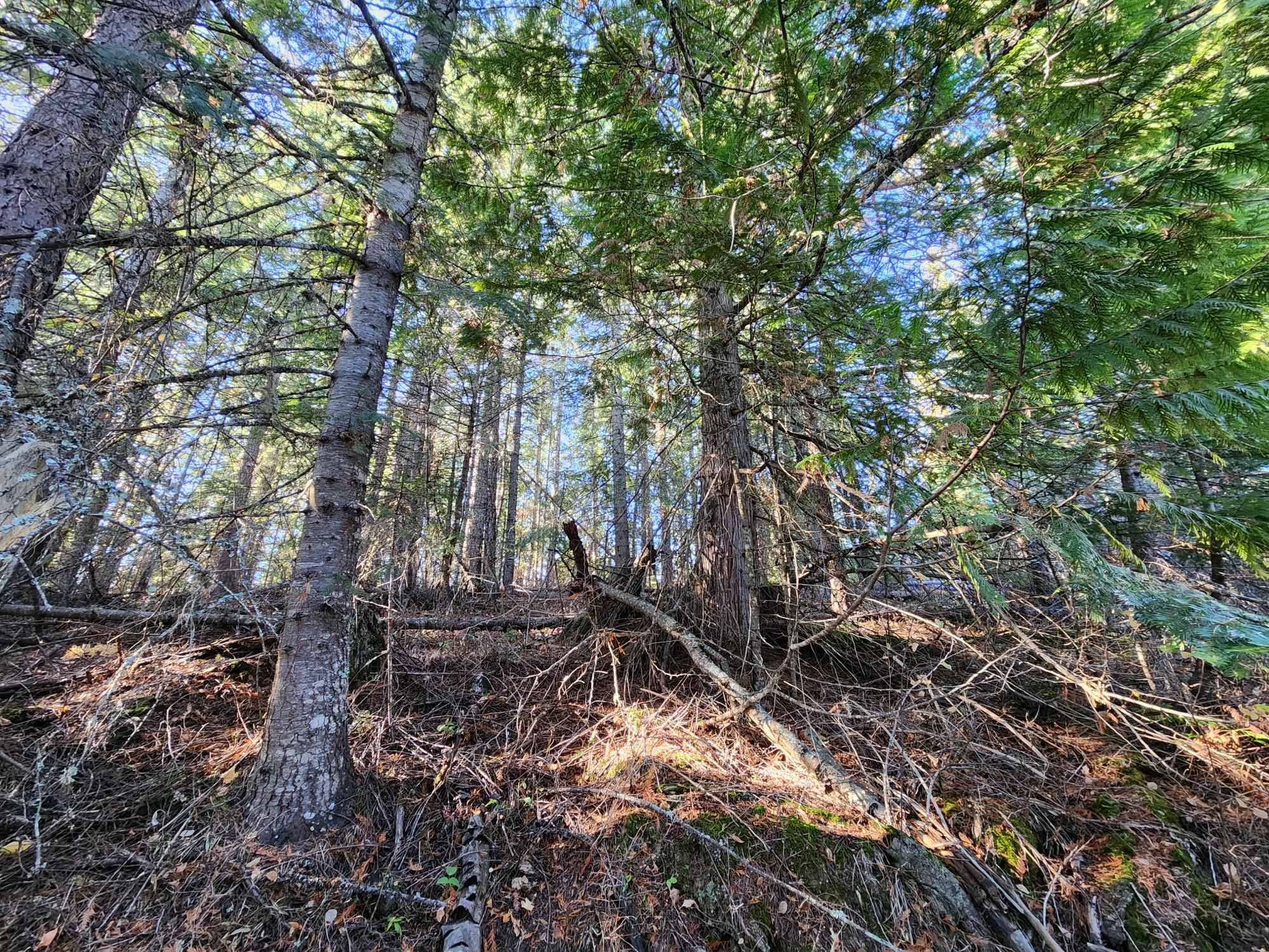 234XX N Mt Spokane Park Dr - Photo 26