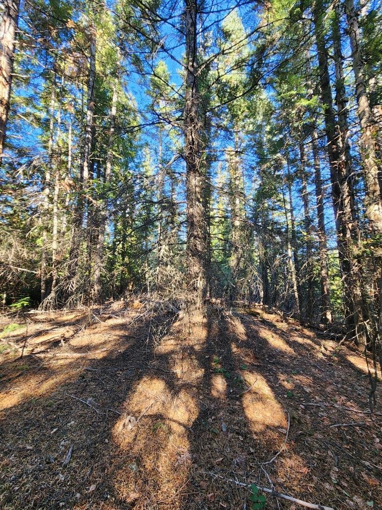 234XX N Mt Spokane Park Dr - Photo 27