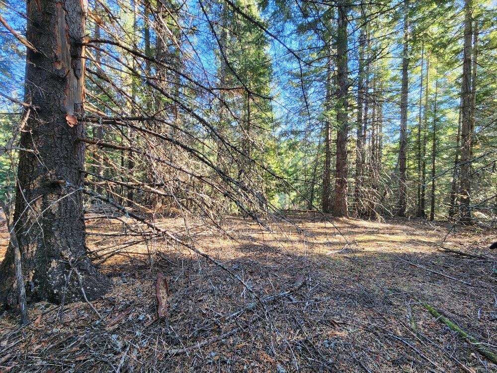 234XX N Mt Spokane Park Dr - Photo 29