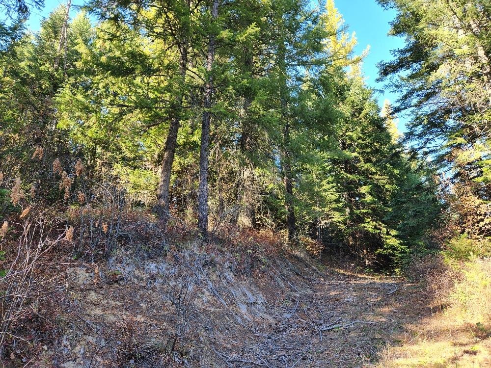 234XX N Mt Spokane Park Dr - Photo 31