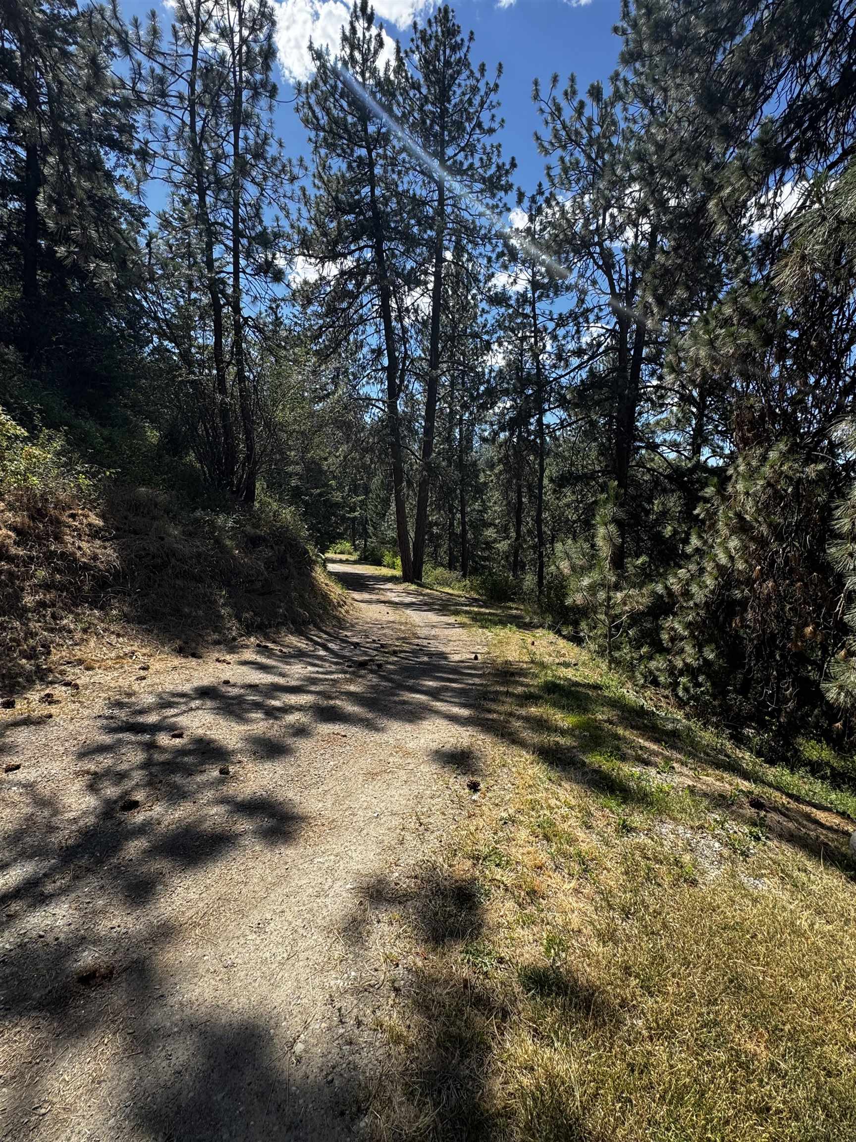 4020 S Saltese Lake Rd - Photo 4
