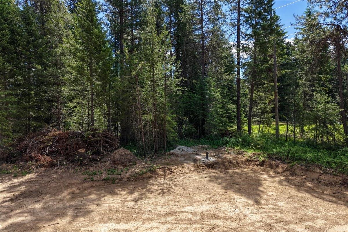 4631 Camden Rd - Photo 10