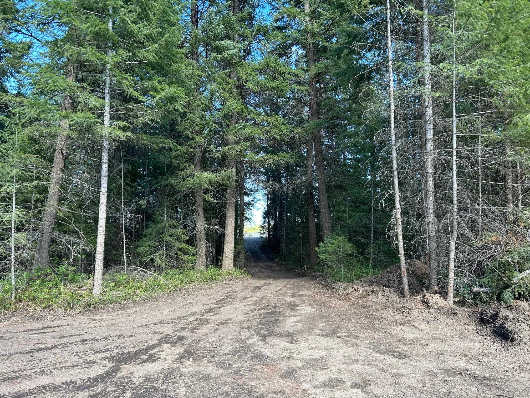 4631 Camden Rd - Photo 8