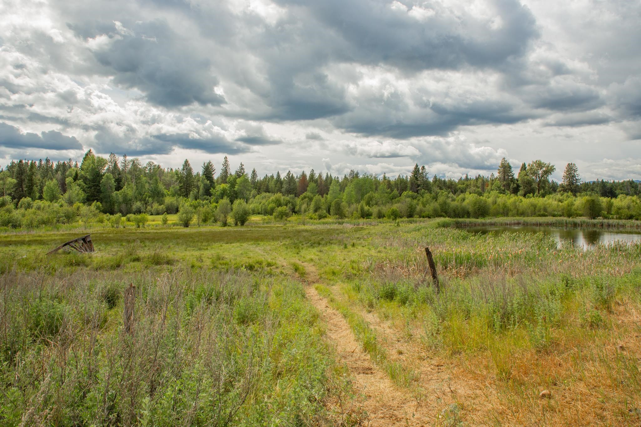 4110 Cemetery Tract AB Rd - Photo 3