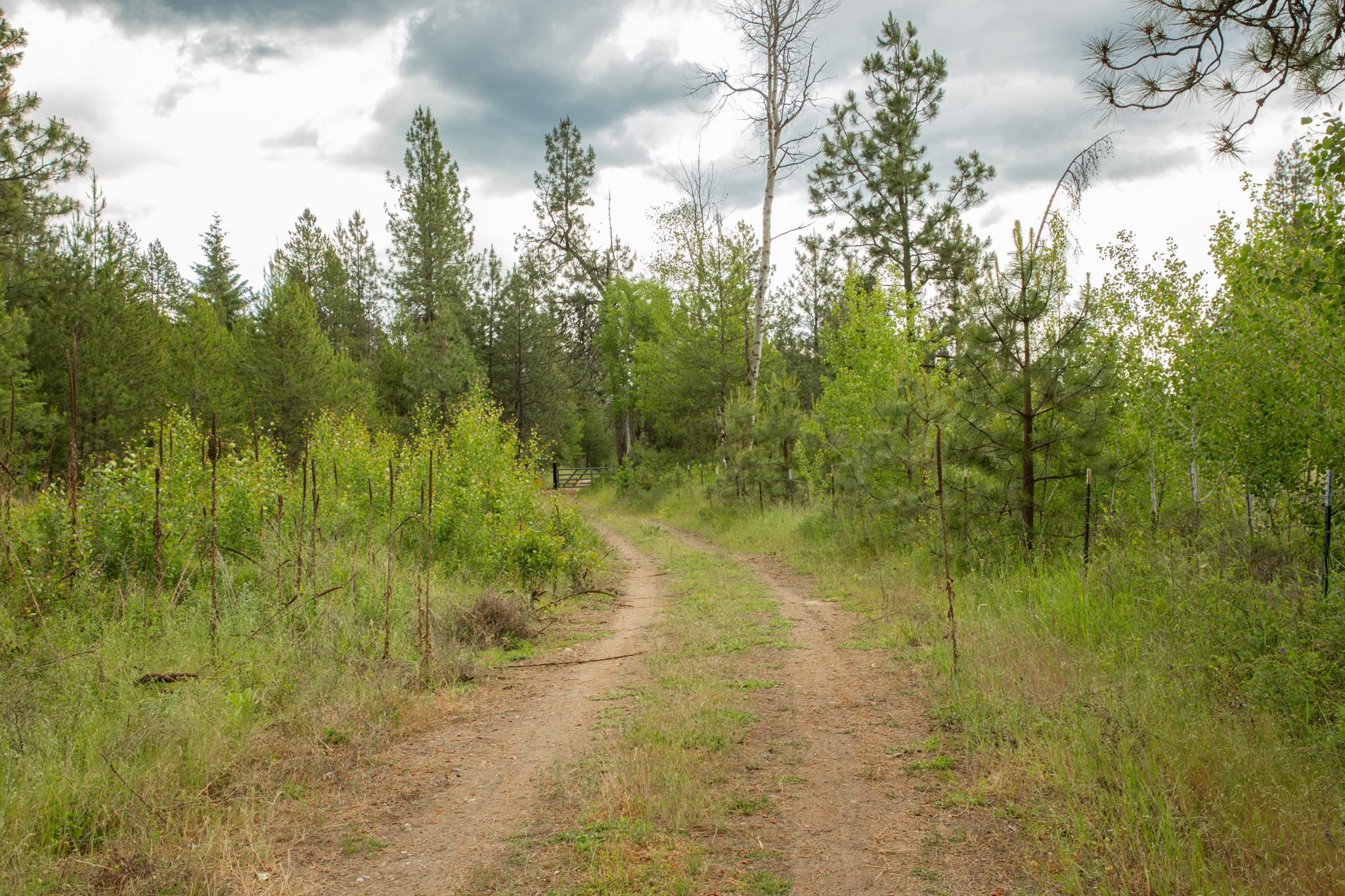 4110 Cemetery Tract AB Rd - Photo 4