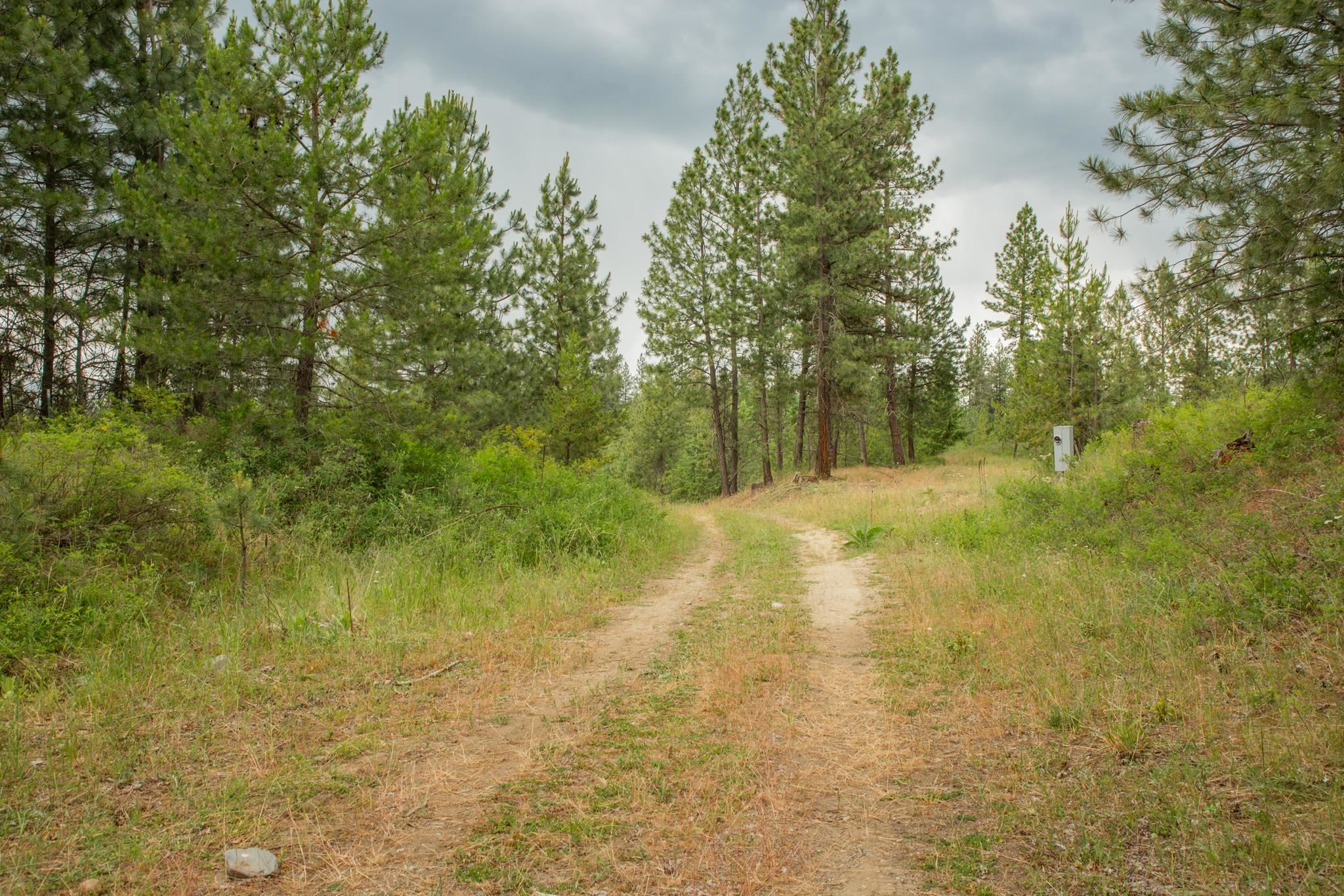 4110 Cemetery Tract AB Rd - Photo 5