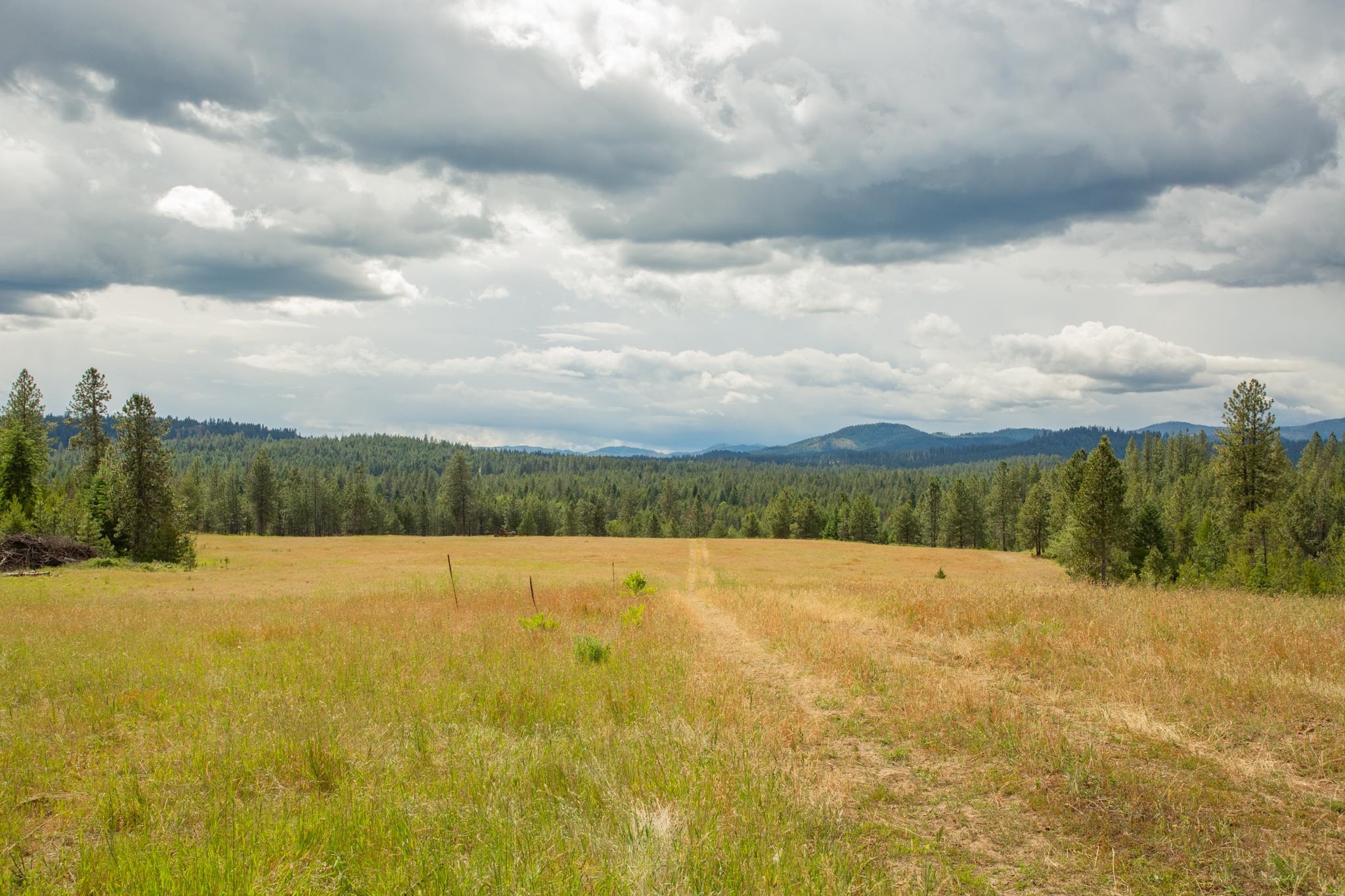 4110 Cemetery Tract AB Rd - Photo 8