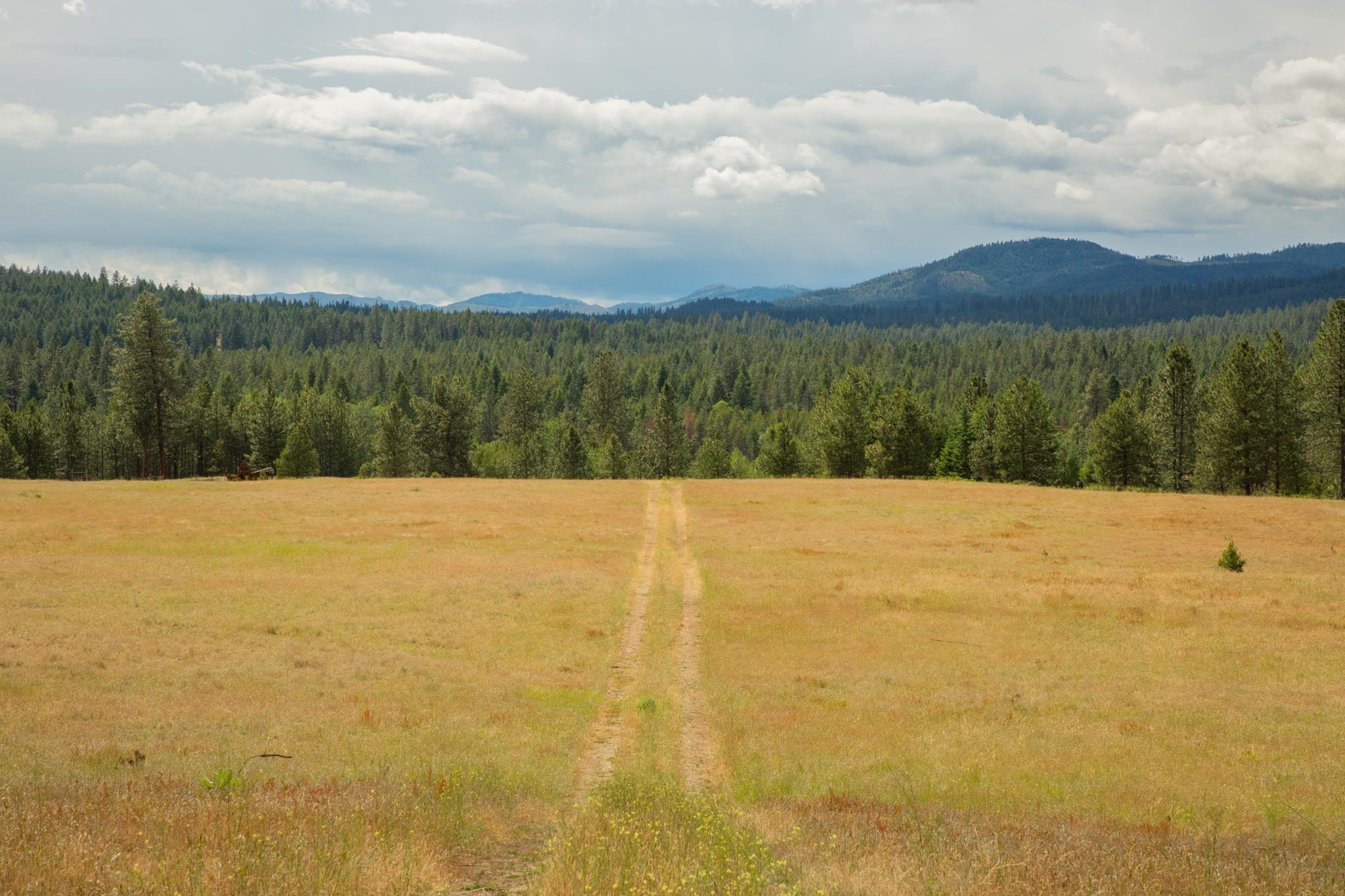 4110 Cemetery Tract AB Rd - Photo 10