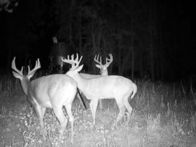 4110 Cemetery Tract AB Rd - Photo 12
