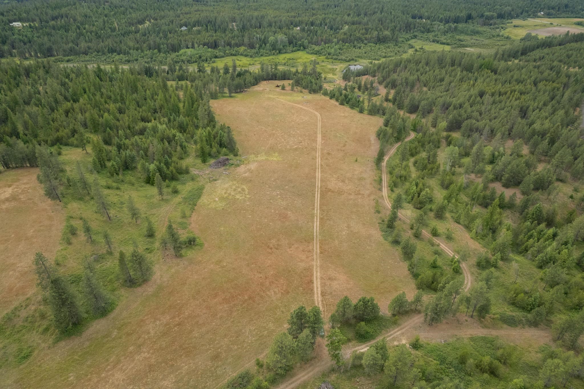 4110 Cemetery Tract AB Rd - Photo 14