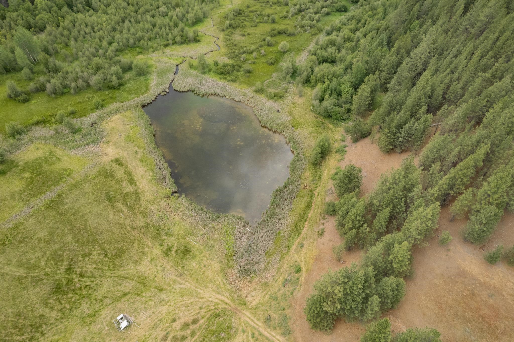 4110 Cemetery Tract AB Rd - Photo 18