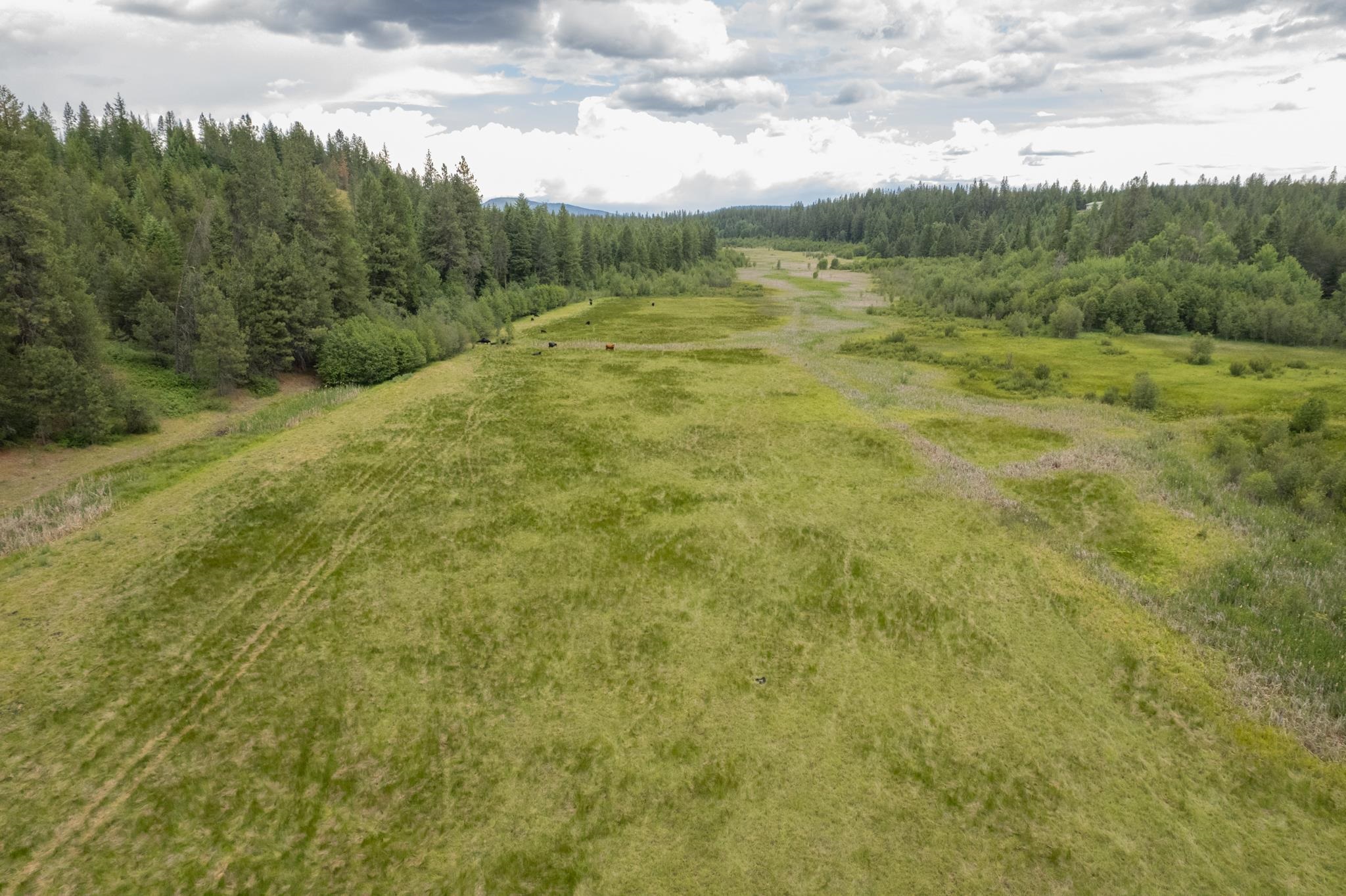 4110 Cemetery Tract AB Rd - Photo 20