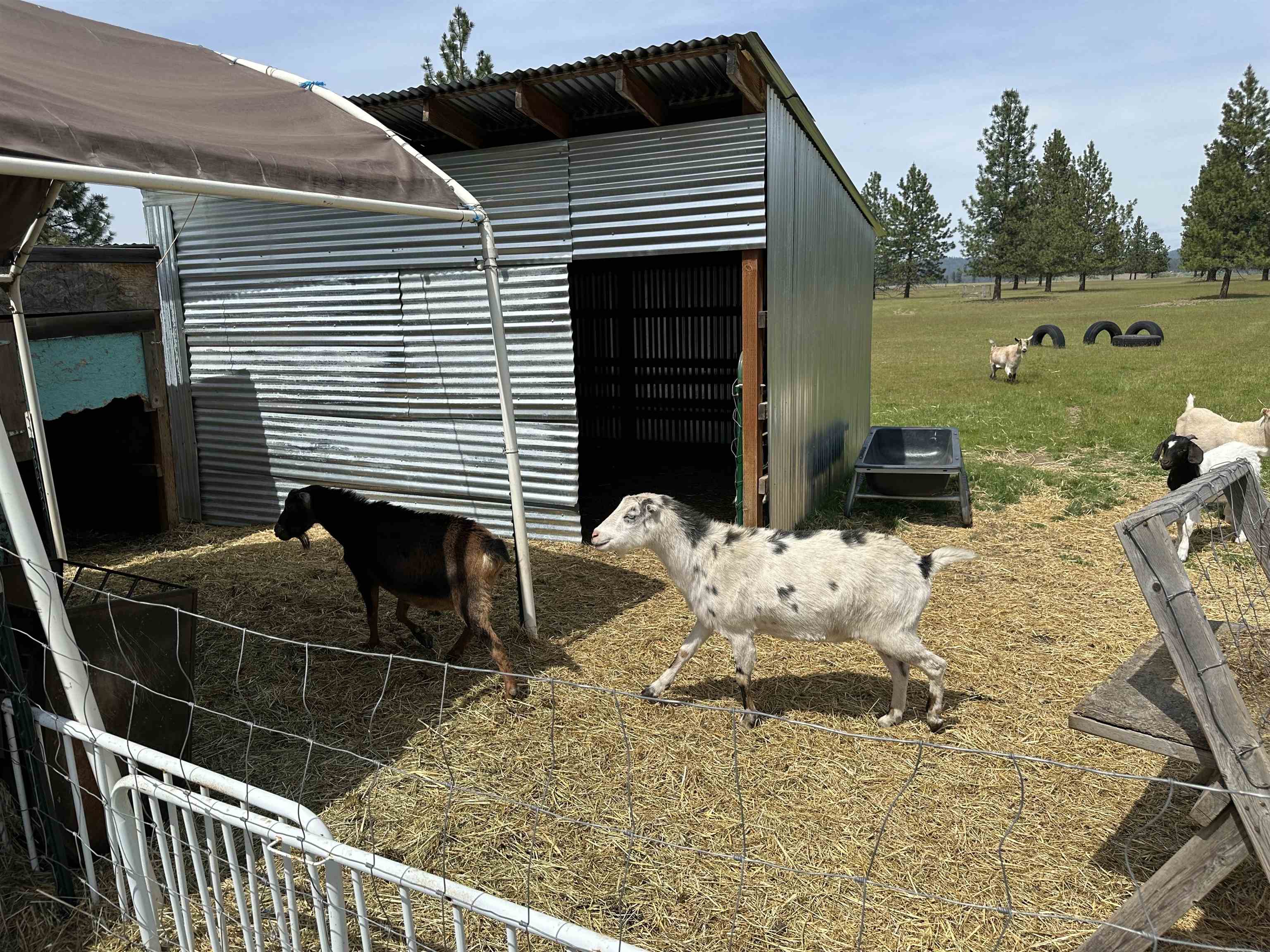 5717 E Oregon Rd - Photo 38