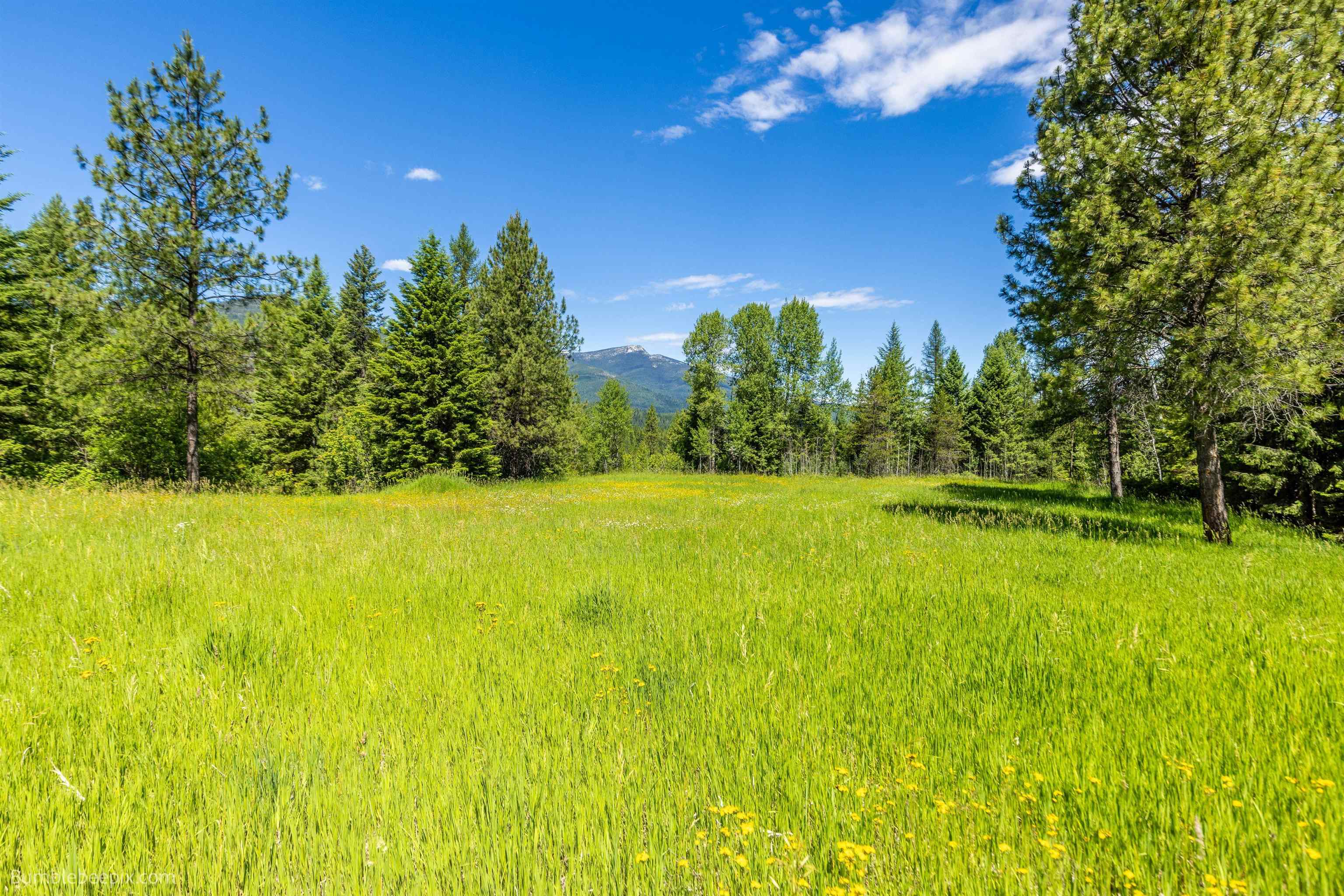 17151 Sullivan Lake Rd - Photo 23