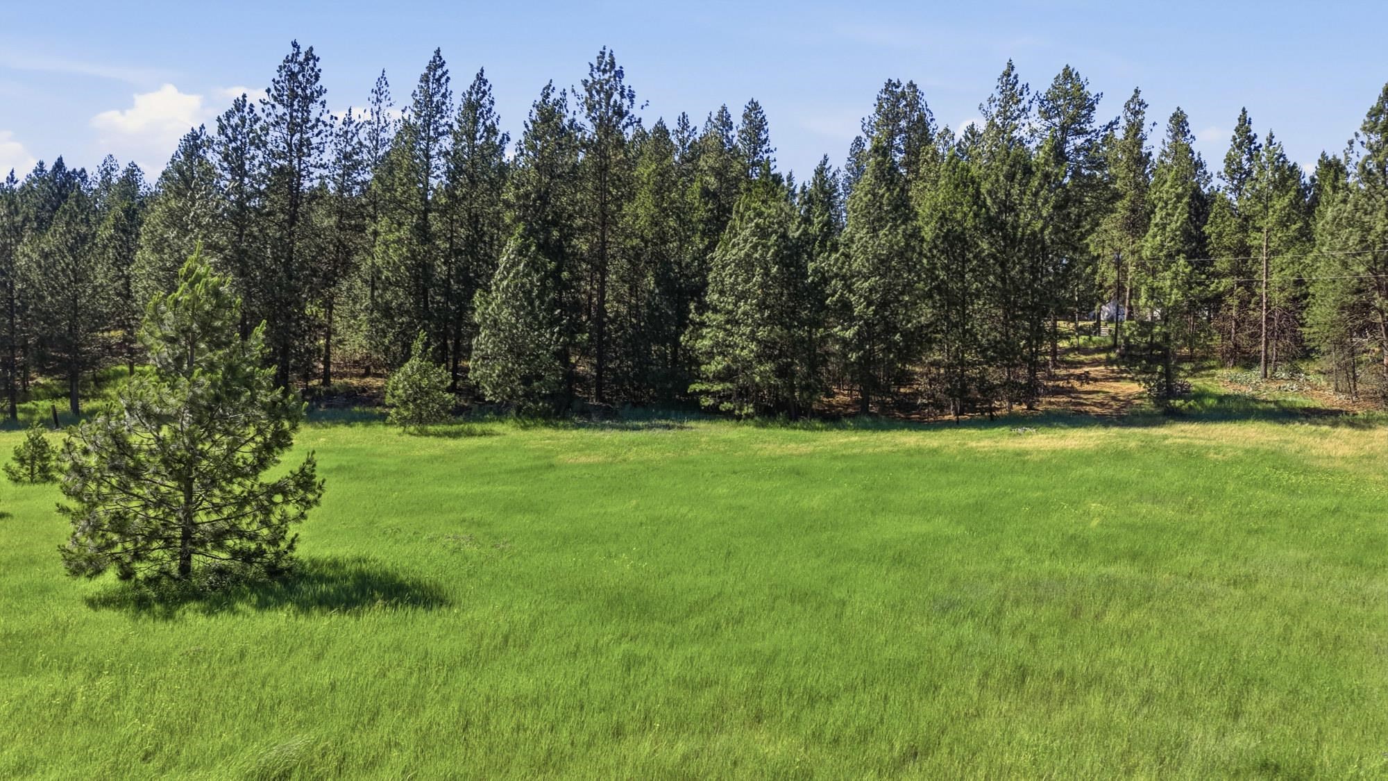 9516 E Day Rd - Photo 5