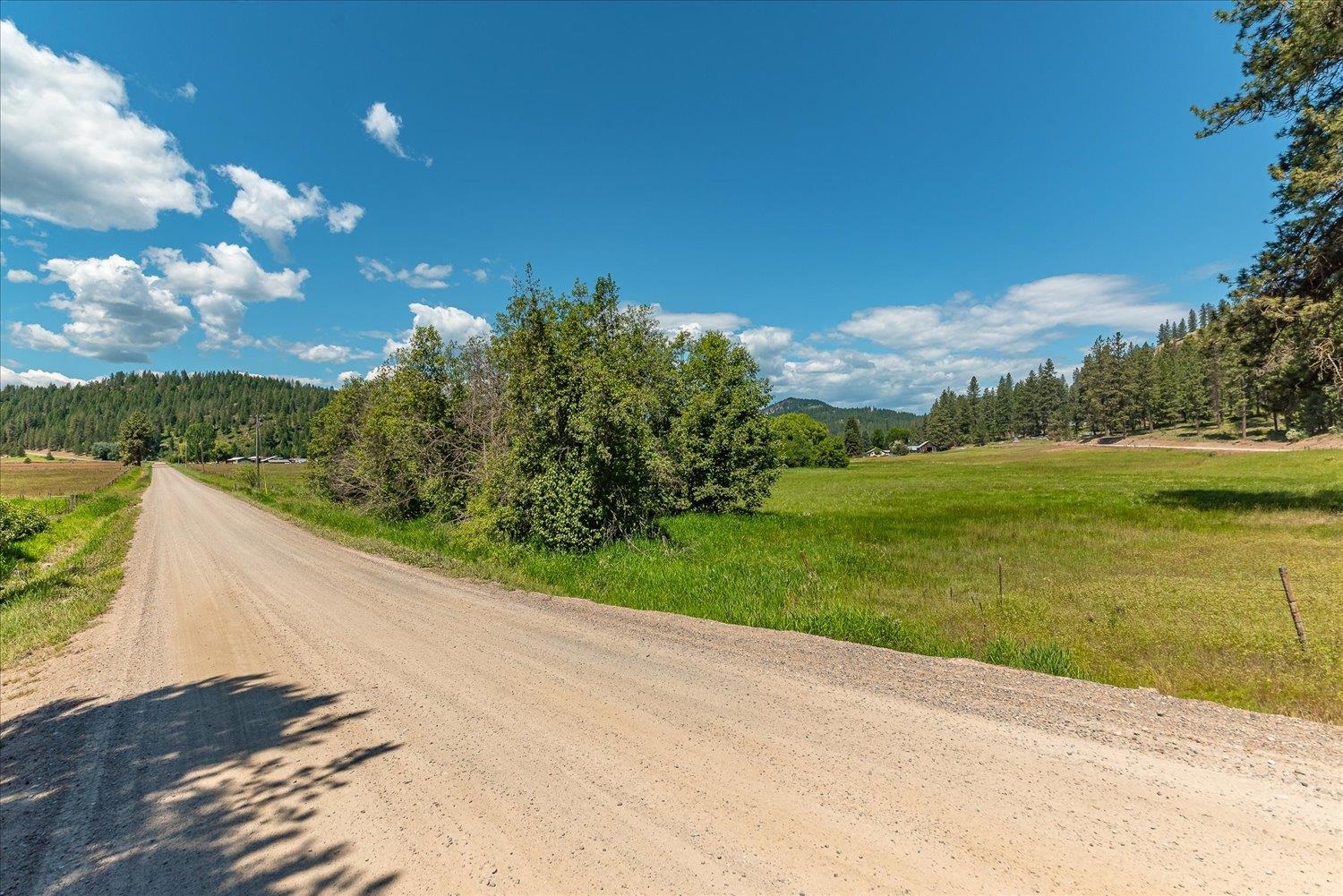 29xx Red Marble Rd - Photo 4