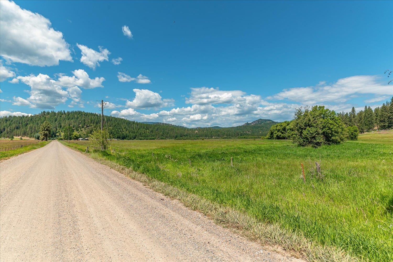 29xx Red Marble Rd - Photo 6
