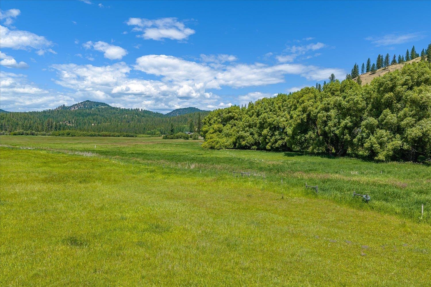 29xx Red Marble Rd - Photo 8